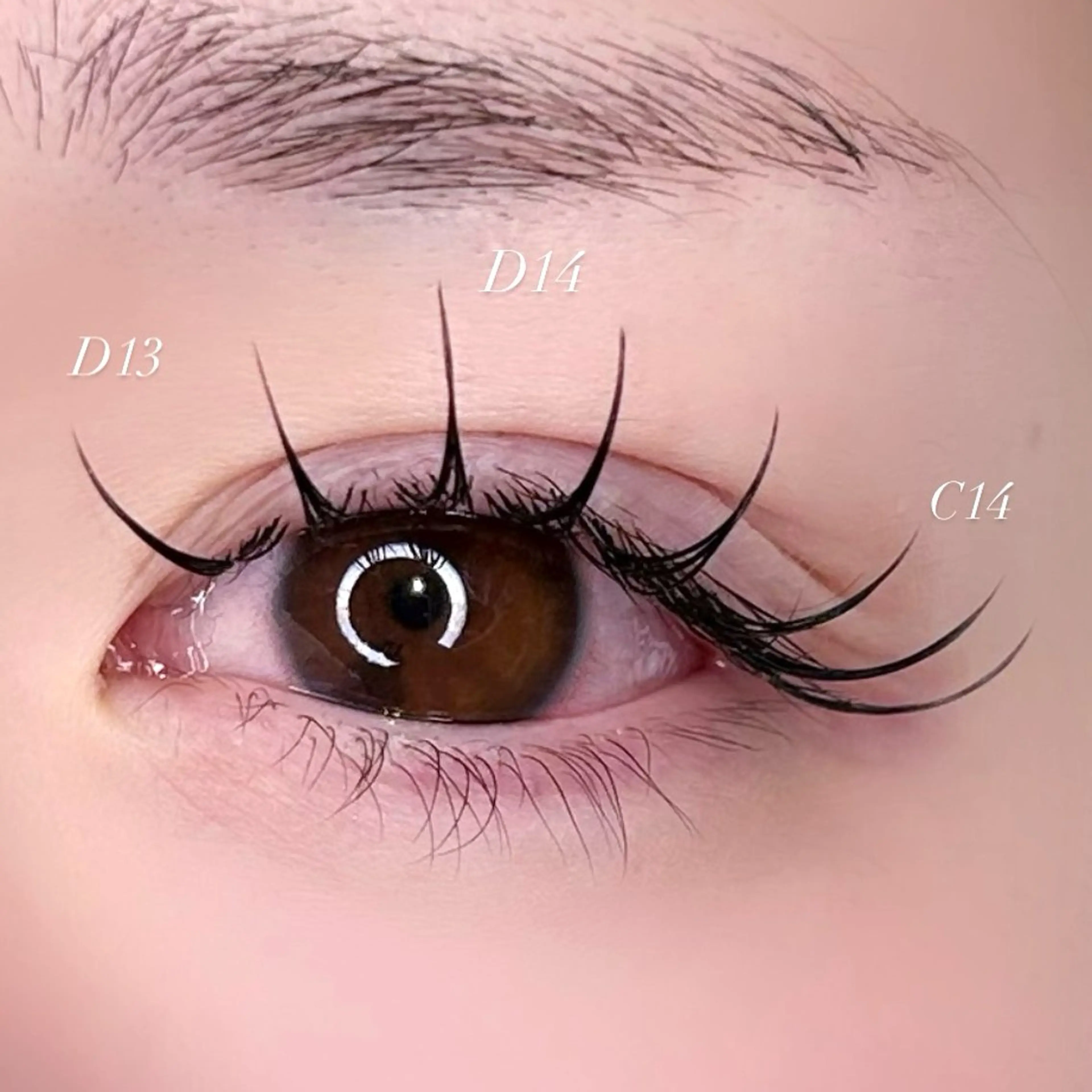 🎀練習モデル🎀新規様限定《まつげエクステ》flat lash 100~120本  束感仕上げ付き ✩の写真