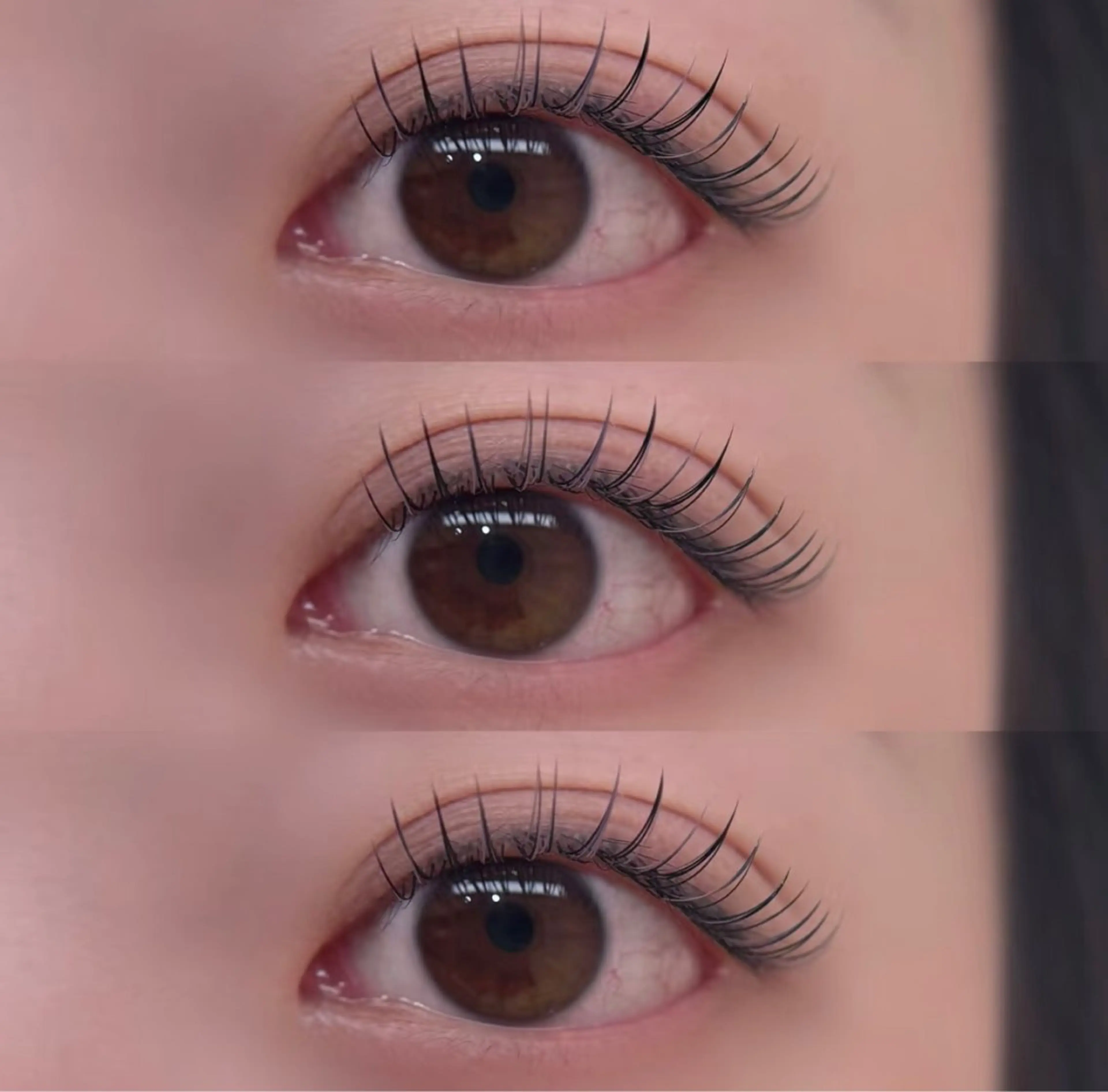 【LED☀️Lカールラッシュ100本】🌷最強持続力★ ¥ 4500☀️コーティング剤付きの写真