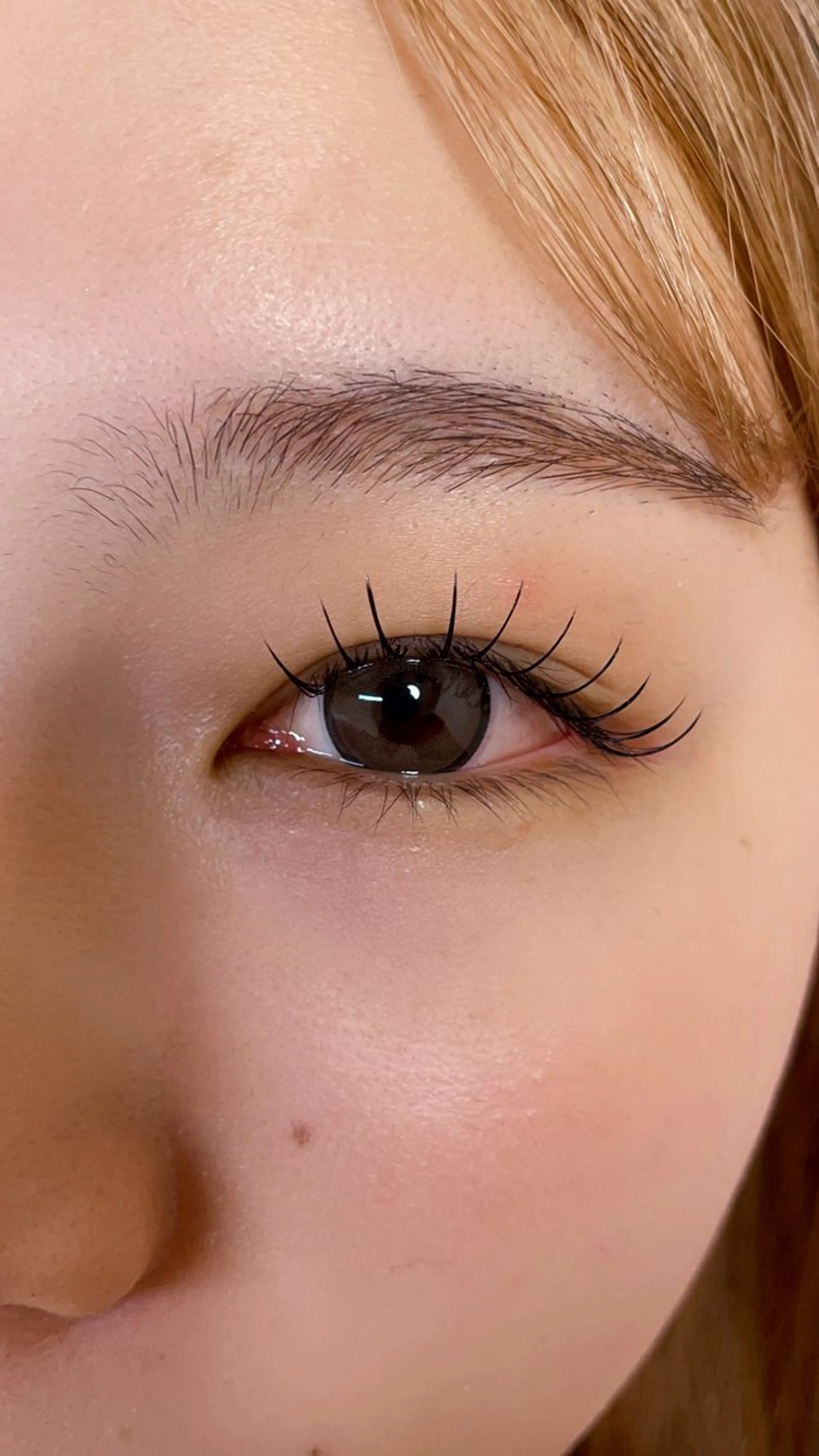 マツエク・マツパ マツエク Ayumi.dre 🦋K《2階》のマツエク・マツパデザイン