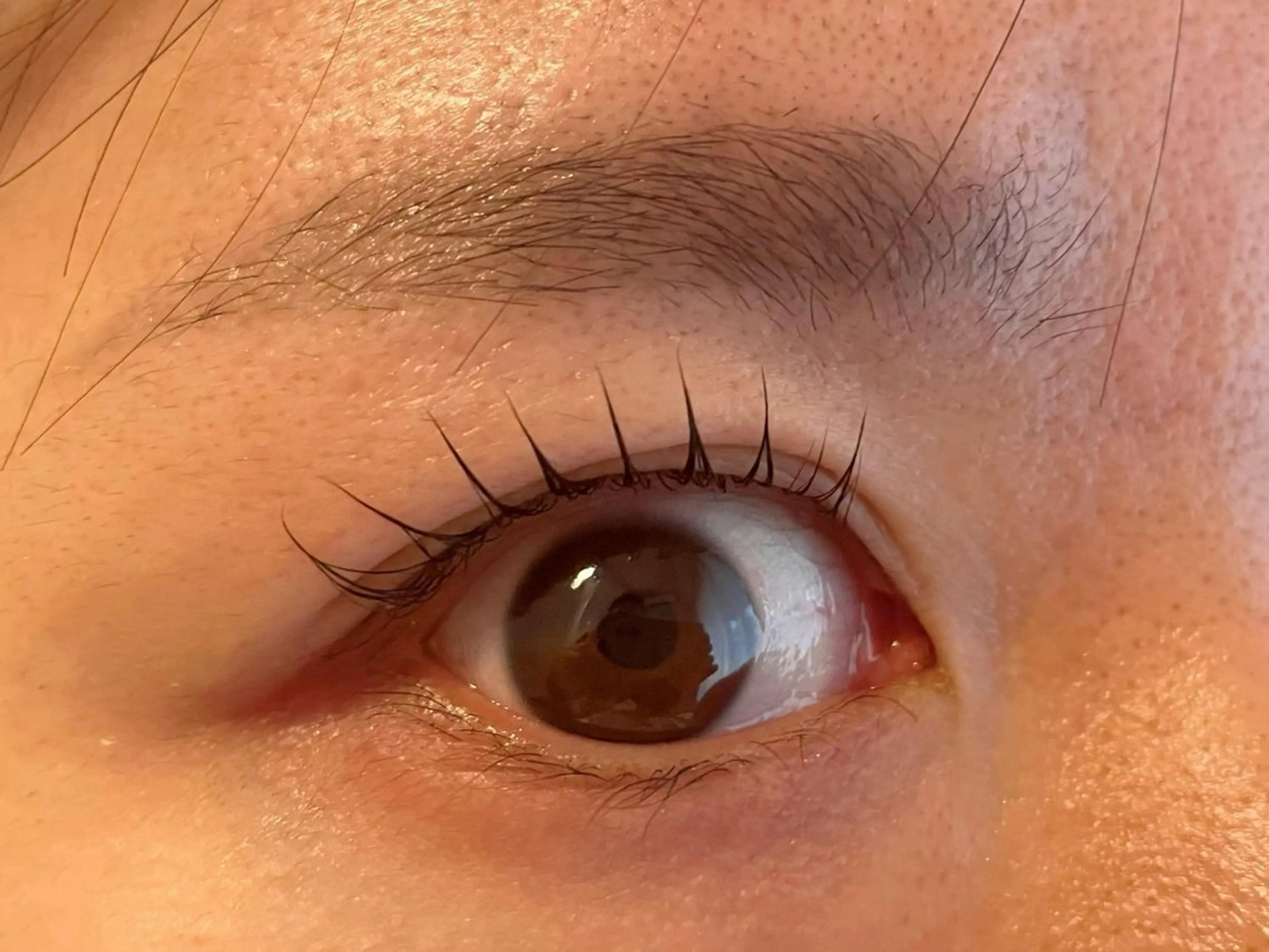 マツエク・マツパ nap eyelash福島駅前店所属・nap  福島駅前店 RANのマツエク・マツパデザイン