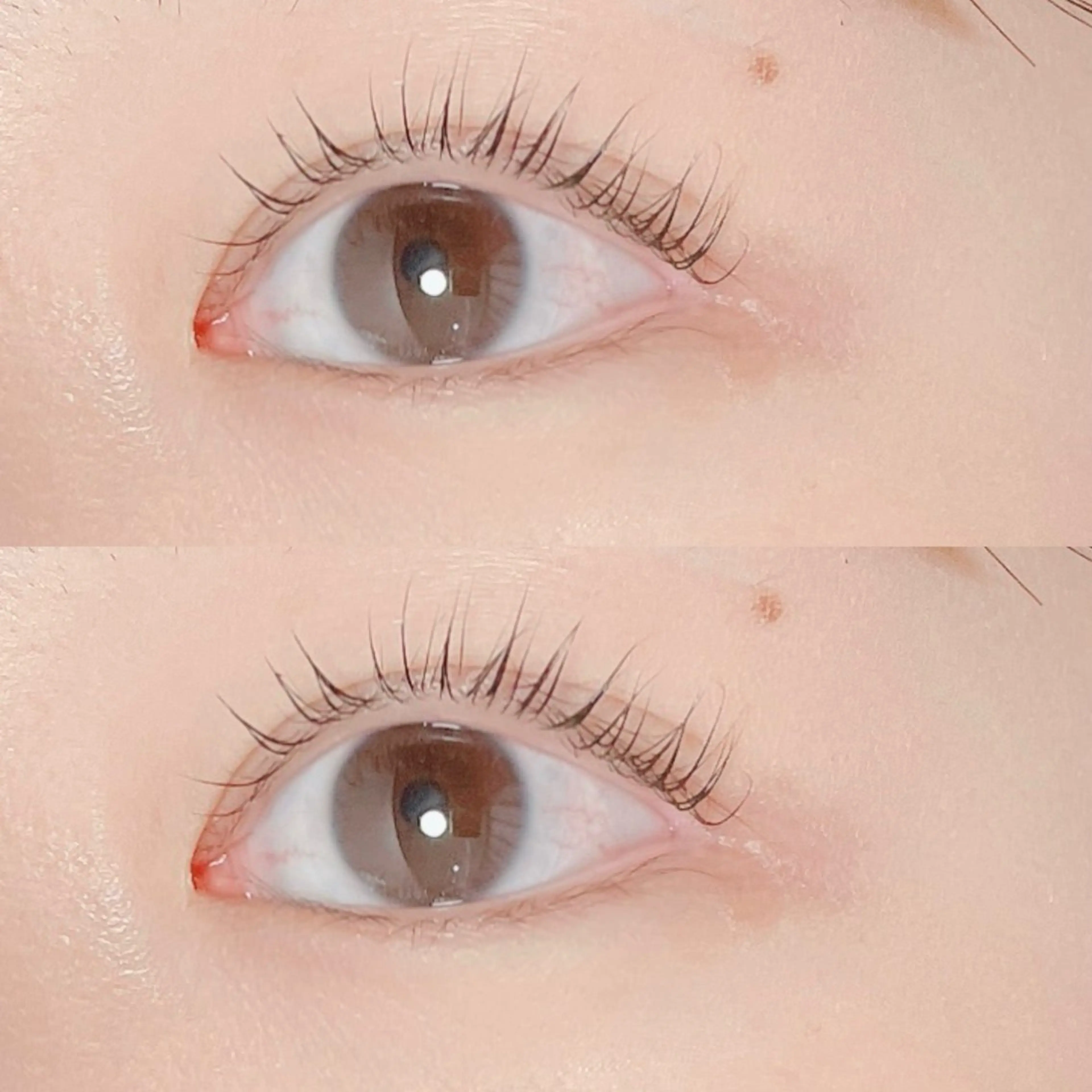 マツエク・マツパ マツパ Ayumi.dre 🌸Y《2階》のマツエク・マツパデザイン