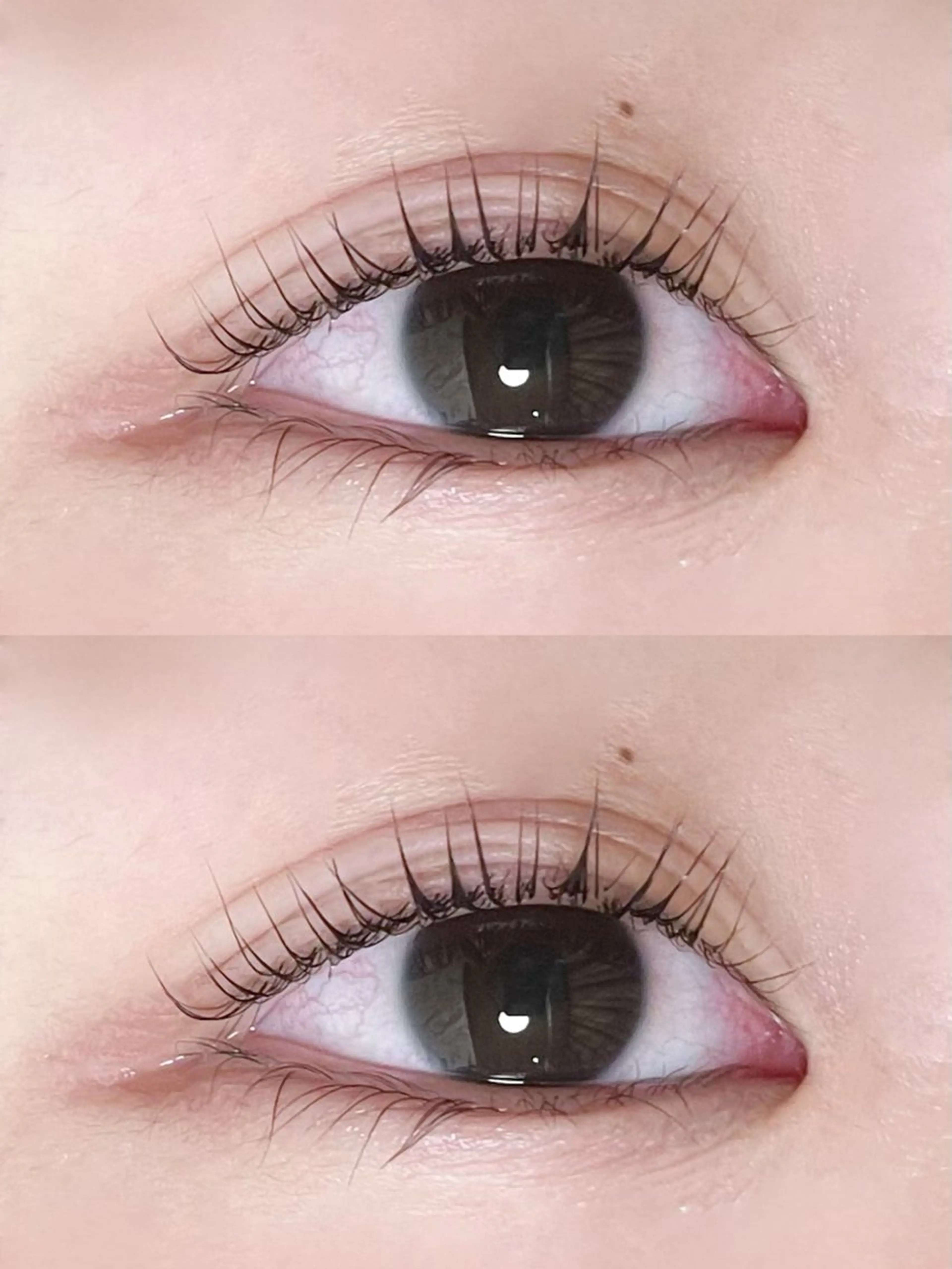 マツエク・マツパ マツパ Ayumi.dre 🌸Y《2階》のマツエク・マツパデザイン