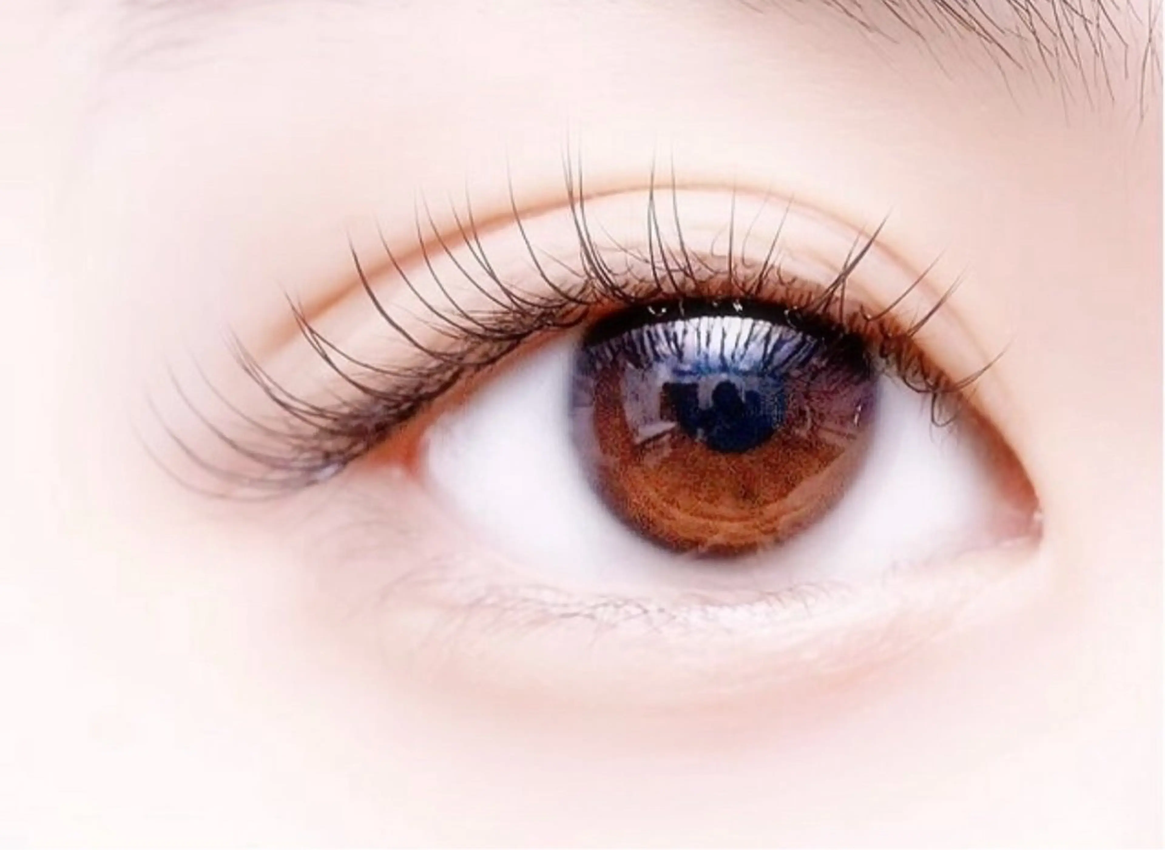 マツエク・マツパ DL・beauty YUUのマツエク・マツパデザイン