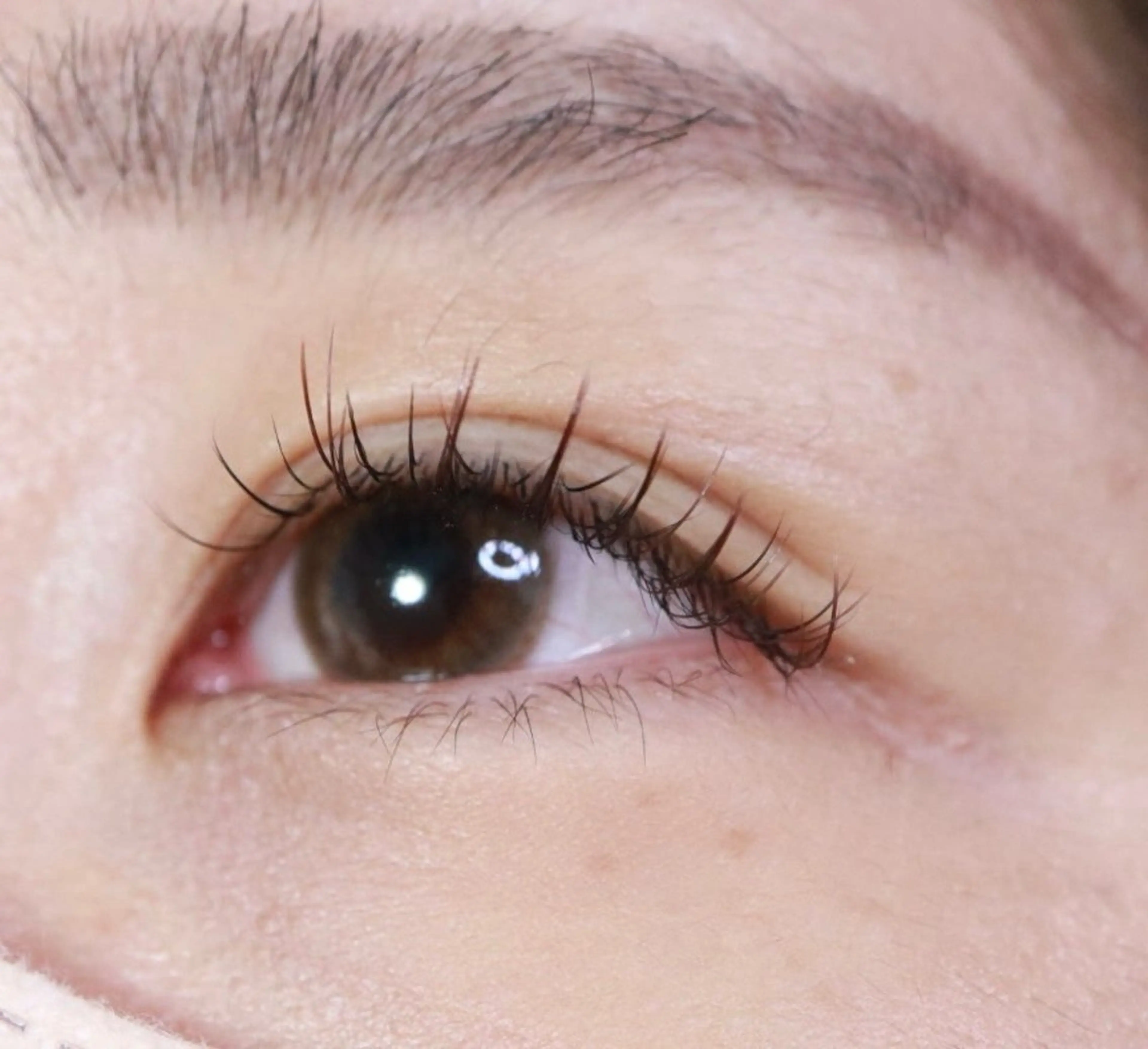 マツエク・マツパ Salon iroha所属・まつ毛と美眉サロン Salonirohaのマツエク・マツパデザイン