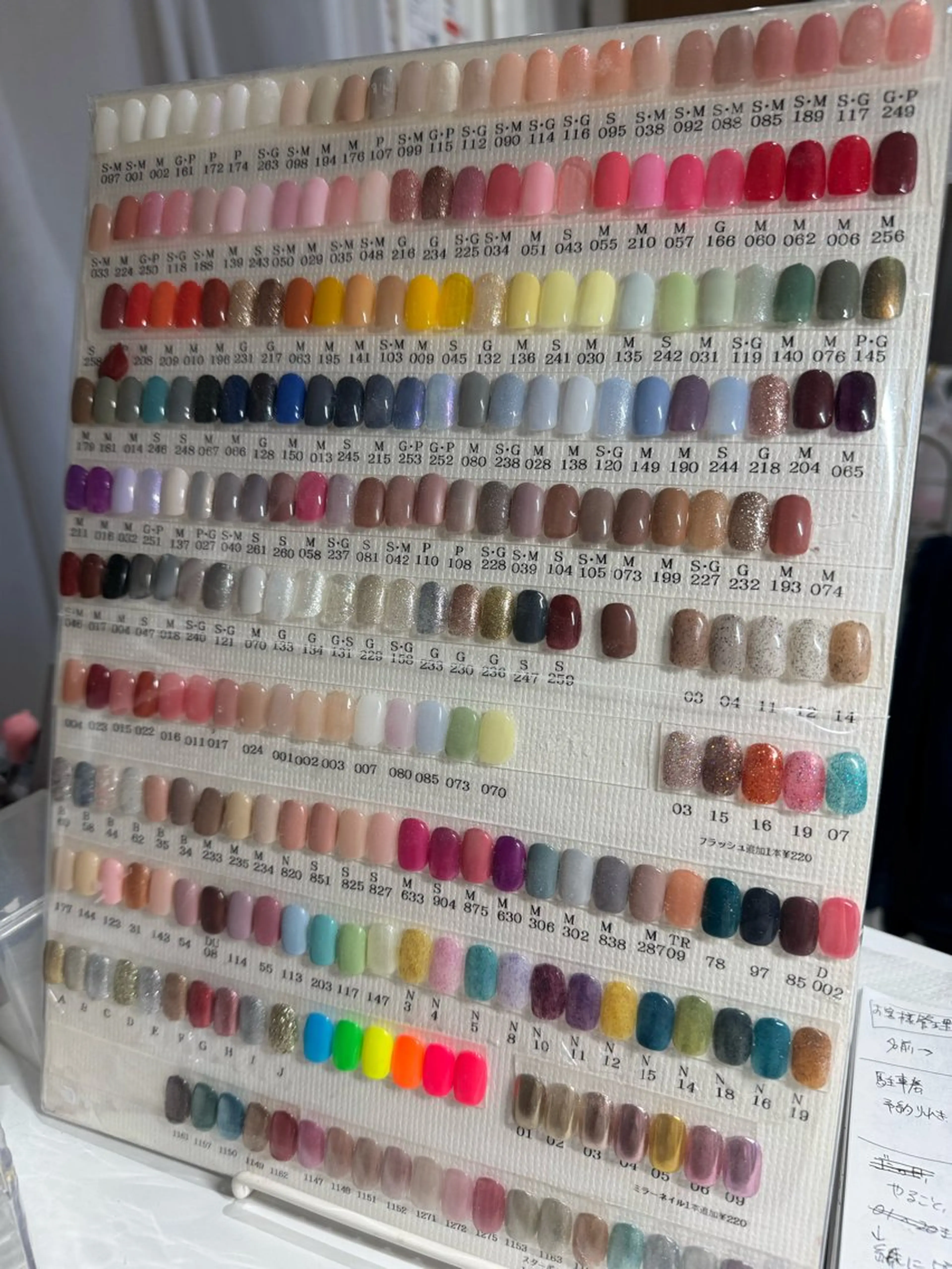 ワンカラー（オフ+500円）の写真