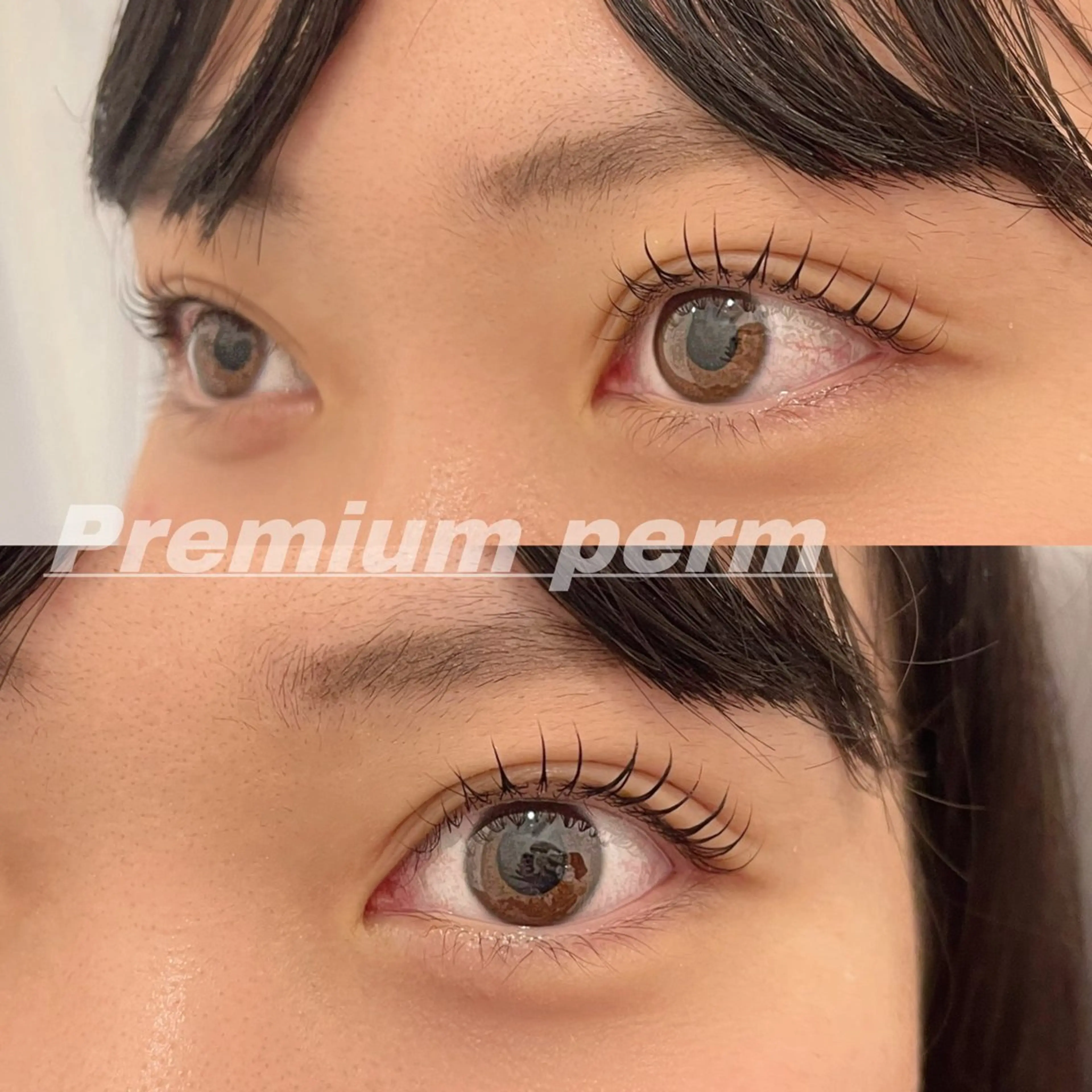 マツエク・マツパ 一重×まつ毛パーマ Eye ELSA lash栄店 長沼の眉毛・アイブロウイメージ