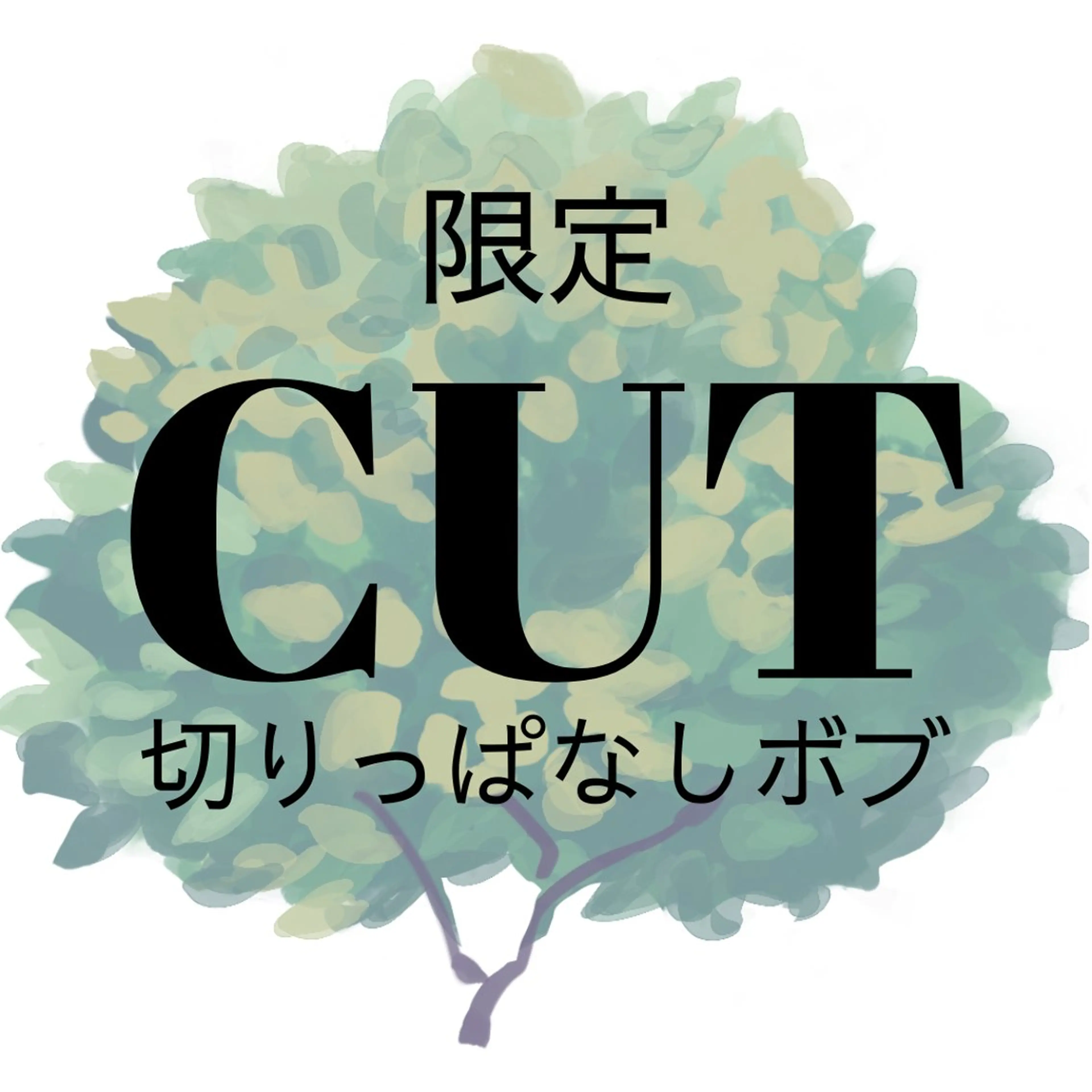 《切りっぱなしボブ》🌿カット　シャンプーの写真