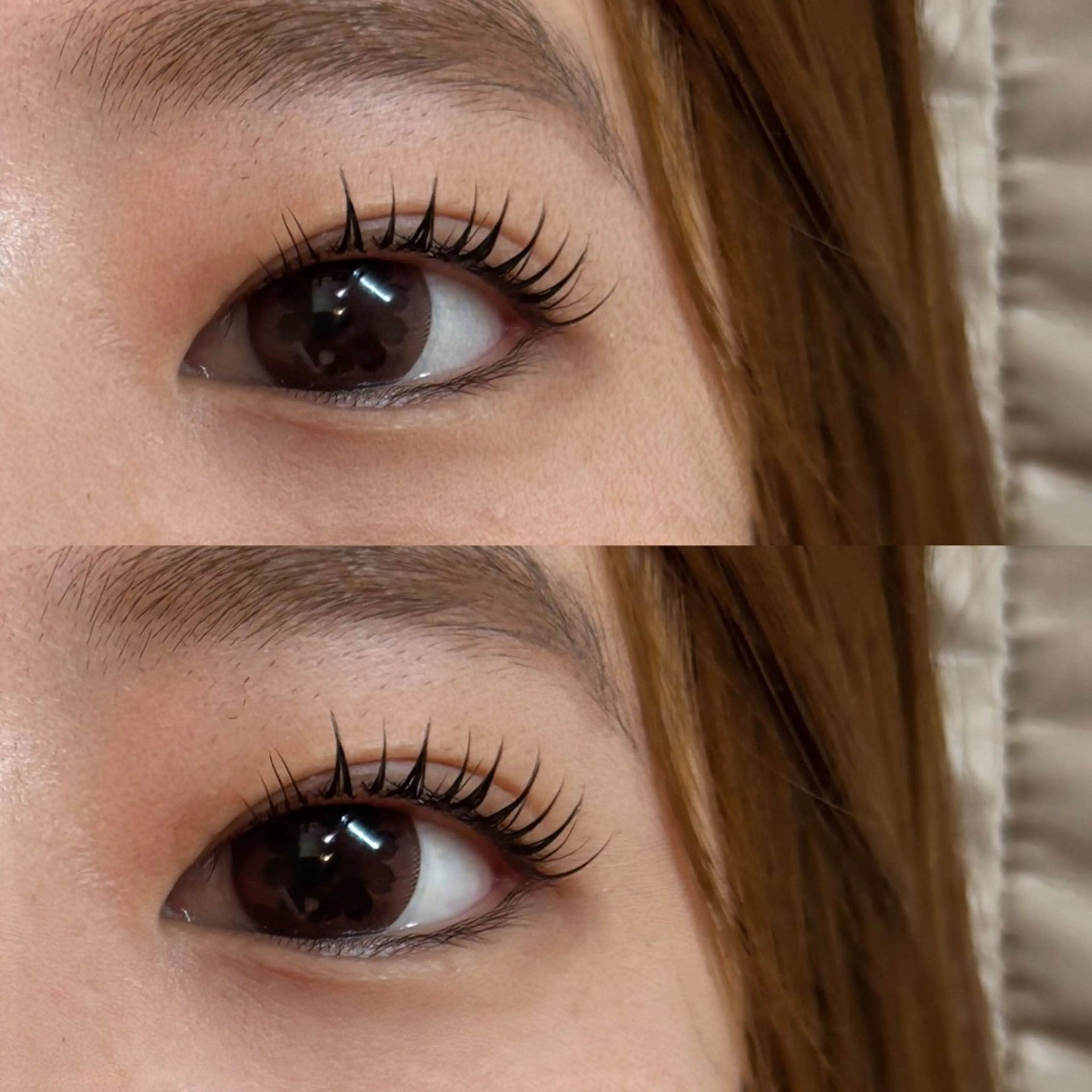 ãããšã¯ã»ããã ããã COL Riysæå±ã»ASUKA ð€Â·Ì©Íã®ãããšã¯ã»ããããã¶ã€ã³