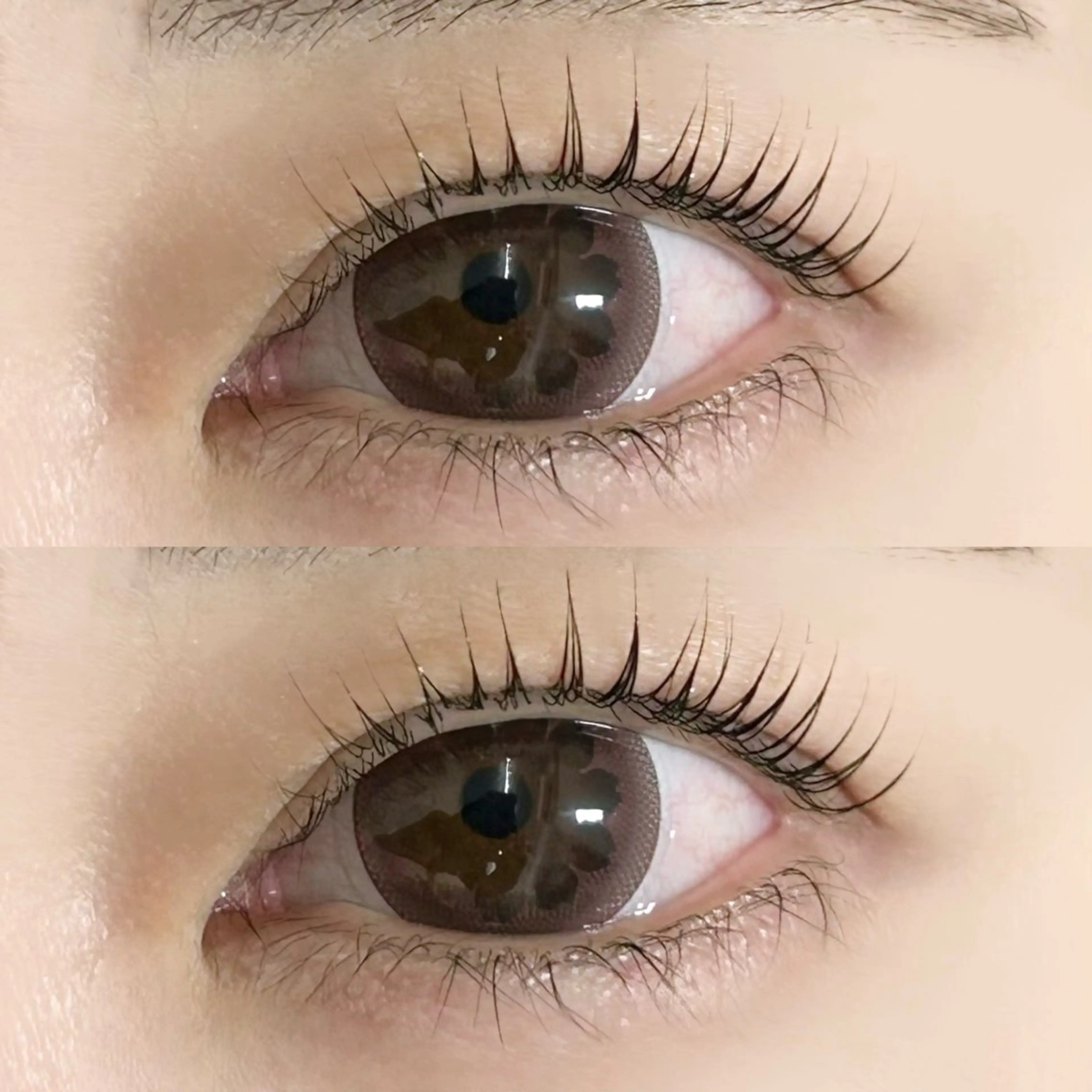 【全員】まつげパーマ ＋アイブロウワックス(眉カット・眉ワックス)の写真