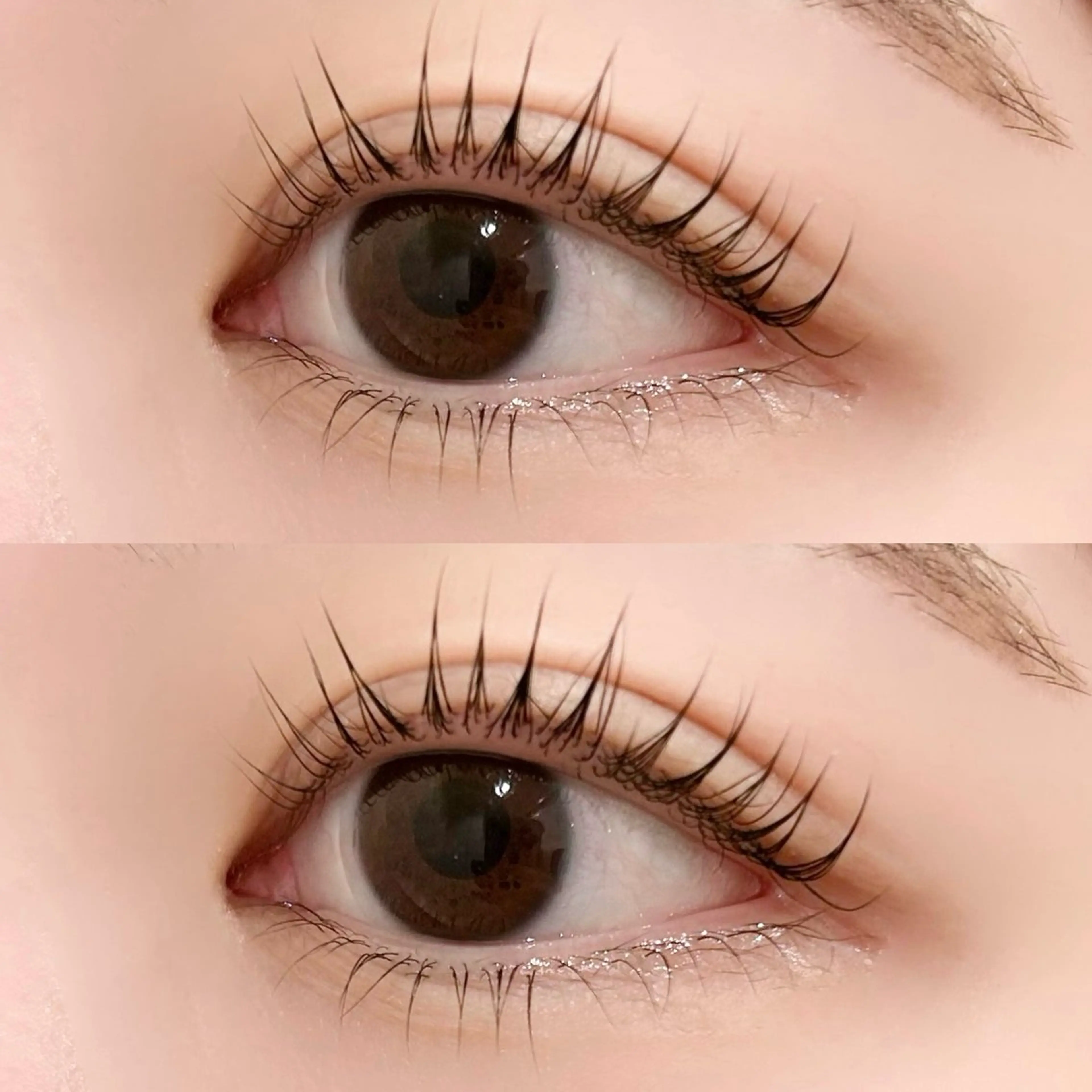 【上のみ】まつ毛パーマ＋アイストレッチ🫧練習モデル募集中🍓の写真