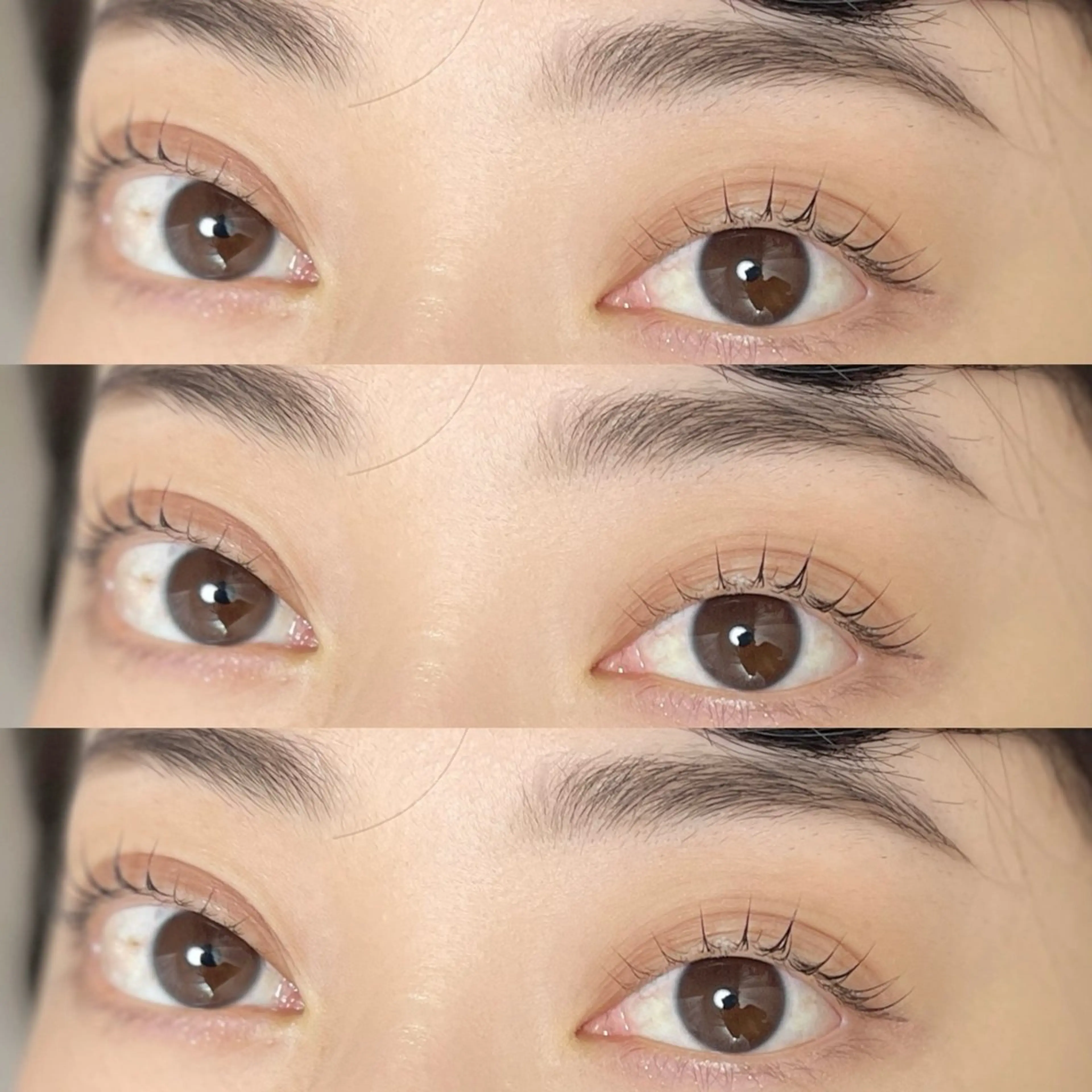 【セット割】同時施術でお得に🤍✨まつ毛×アイブロウor脱毛👼🏻の写真