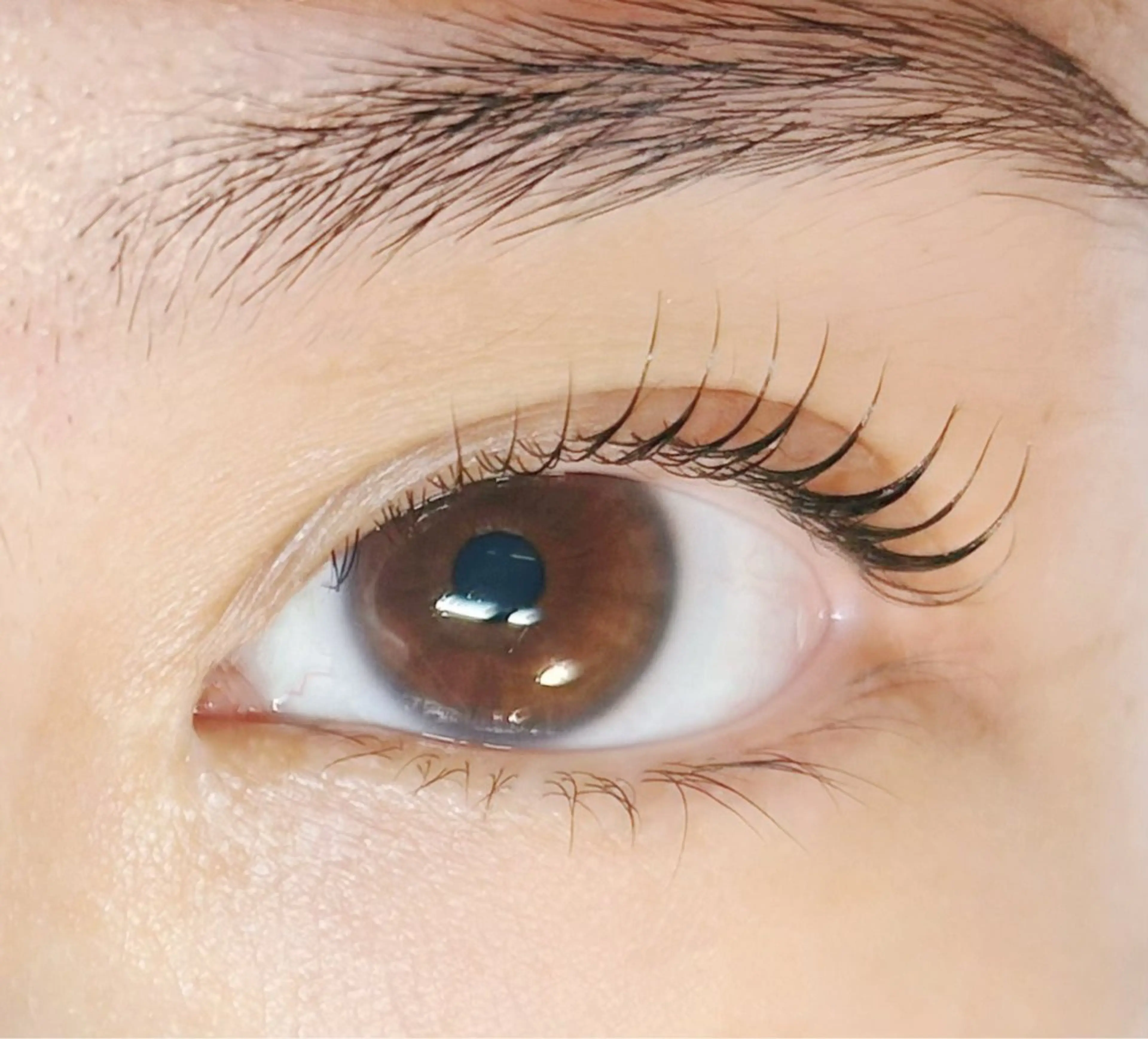 マツエク・マツパ Melia Chieのマツエク・マツパデザイン