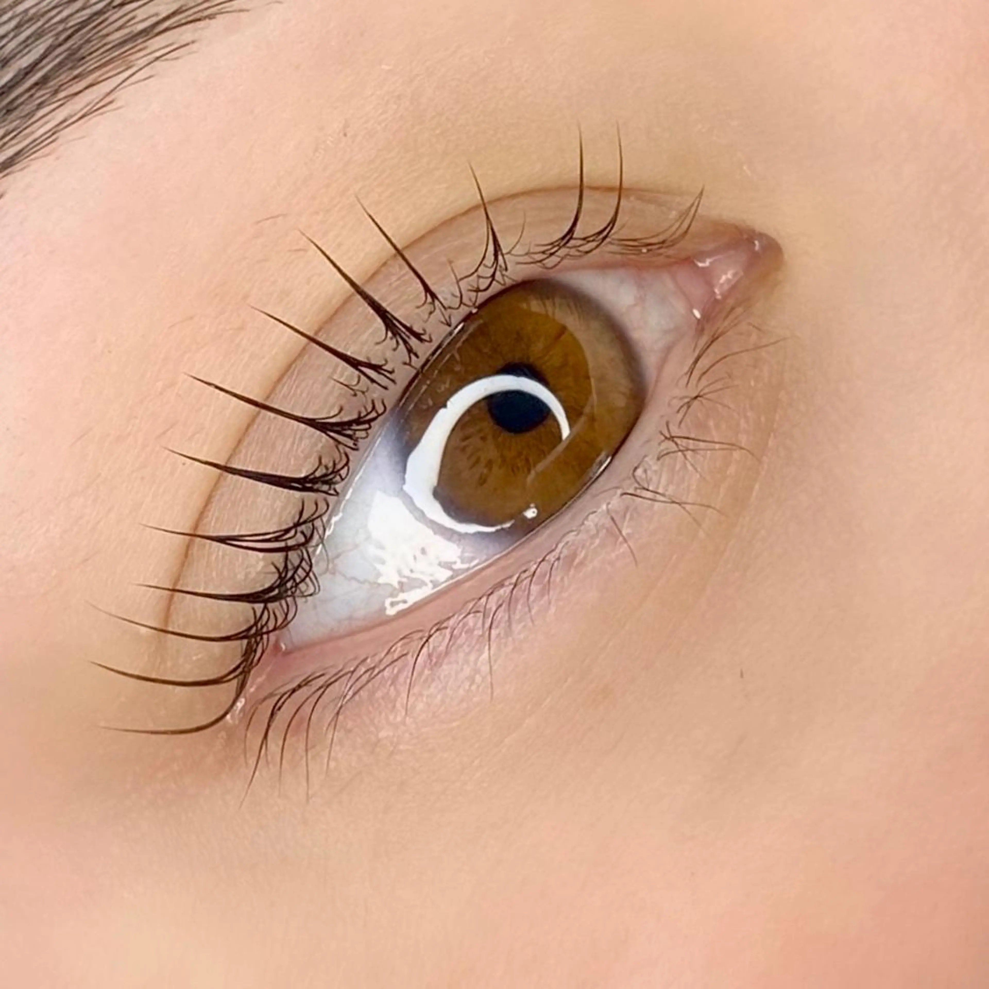 マツエク・マツパ パリジェンヌラッシュリフト BEMOA eyelash&eyebrow所属・BEMOA 藤本 毬のマツエク・マツパデザイン