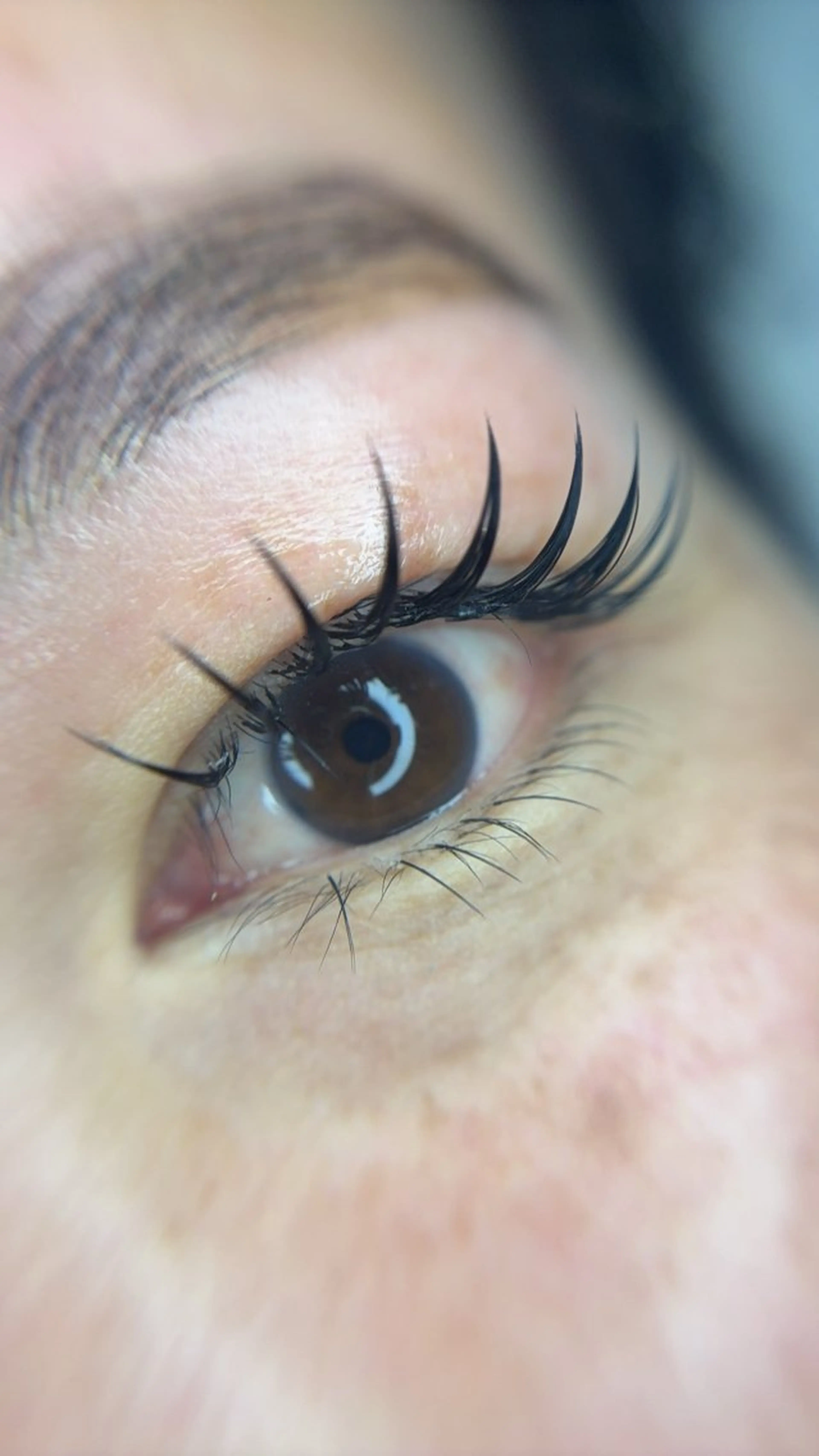 マツエク・マツパ 束感まつ毛 フラットラッシュ JUJU byTANEのマツエク・マツパデザイン