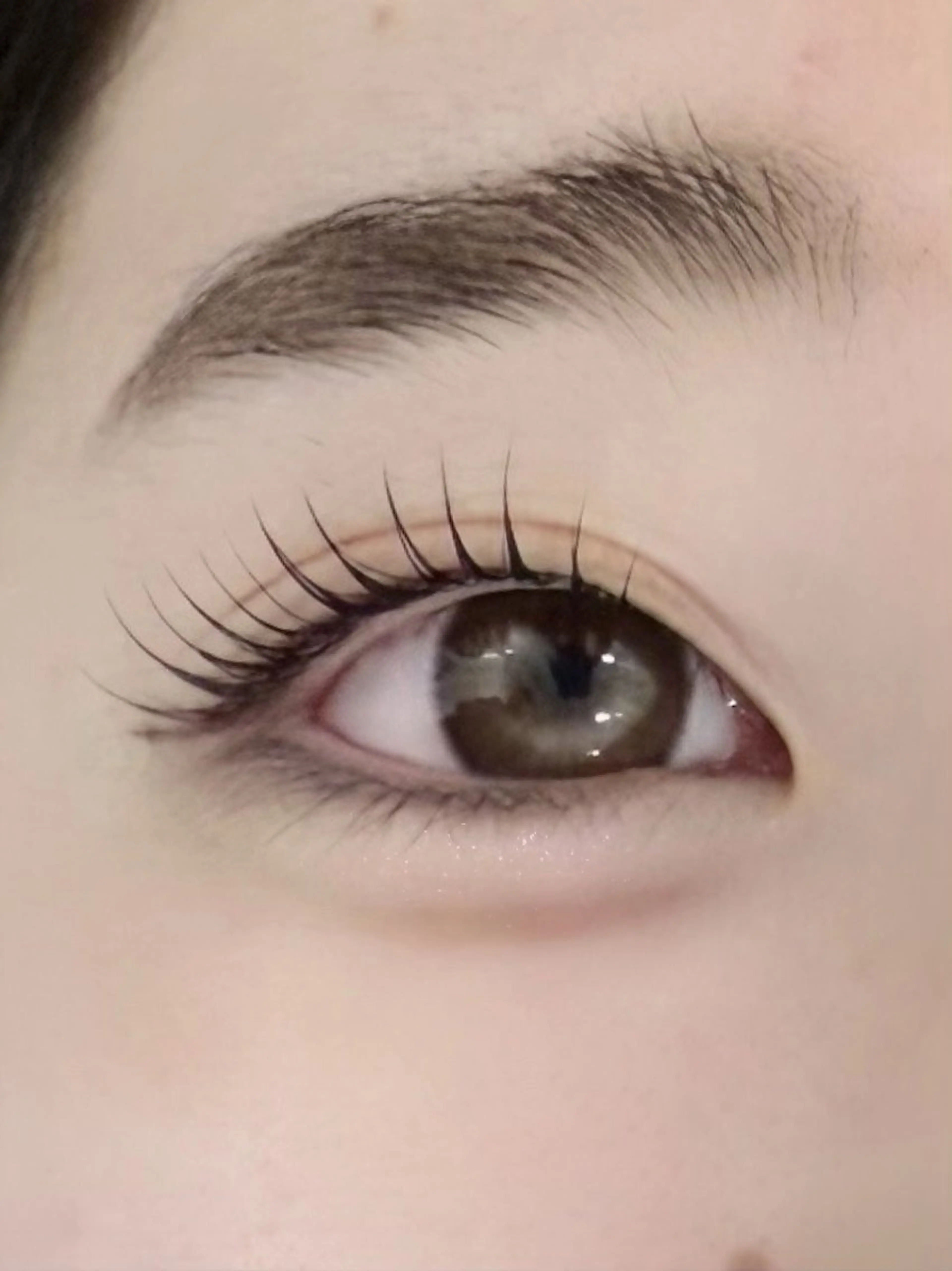 【本日 11月4日 12時~、17時~限定】ラッシュリフトorパリジェンヌラッシュリフト 無料の写真