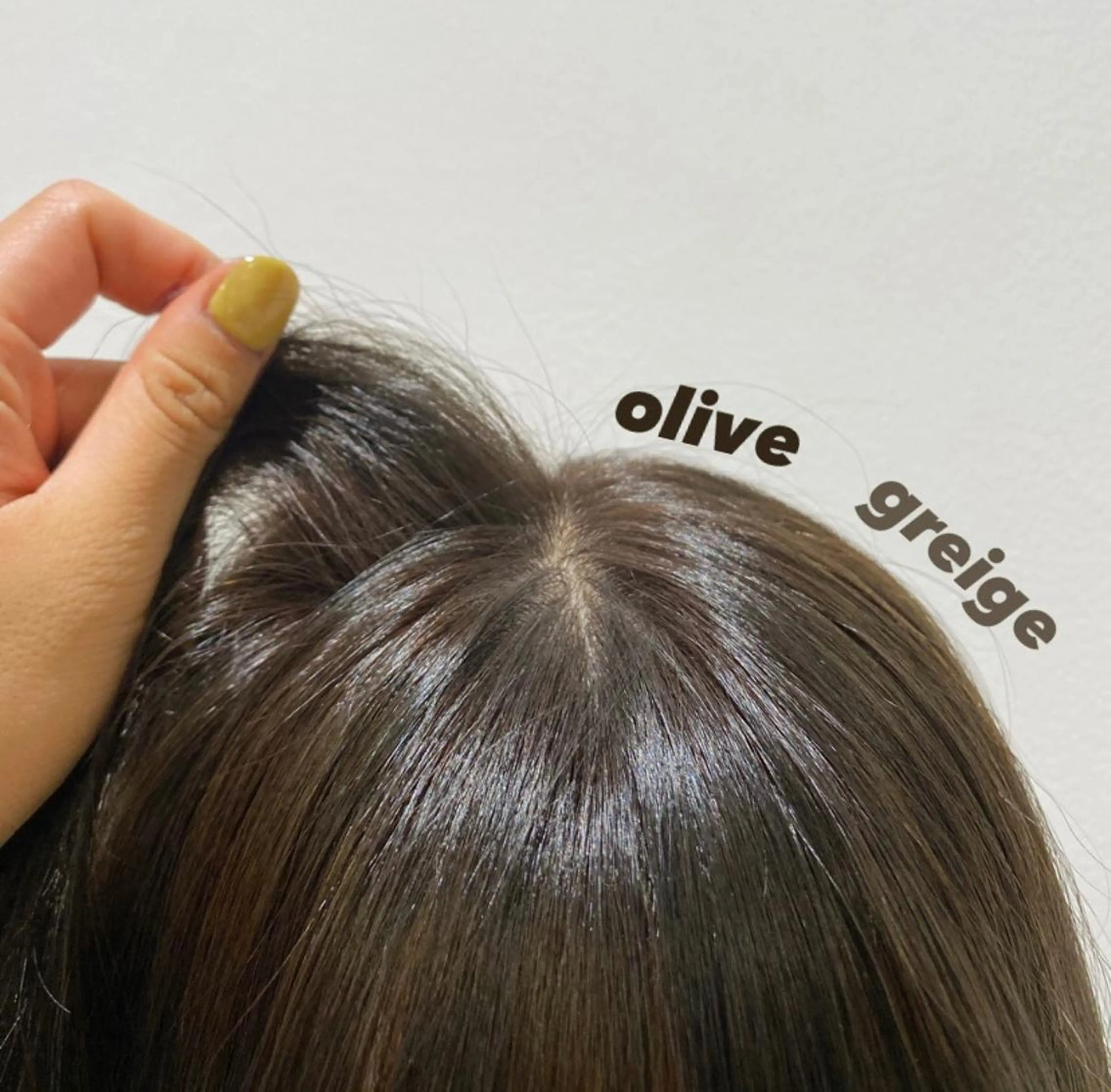 ミディアム カラー December/ jingumae所属・【カットモデル募集】 yuzuのヘアスタイル