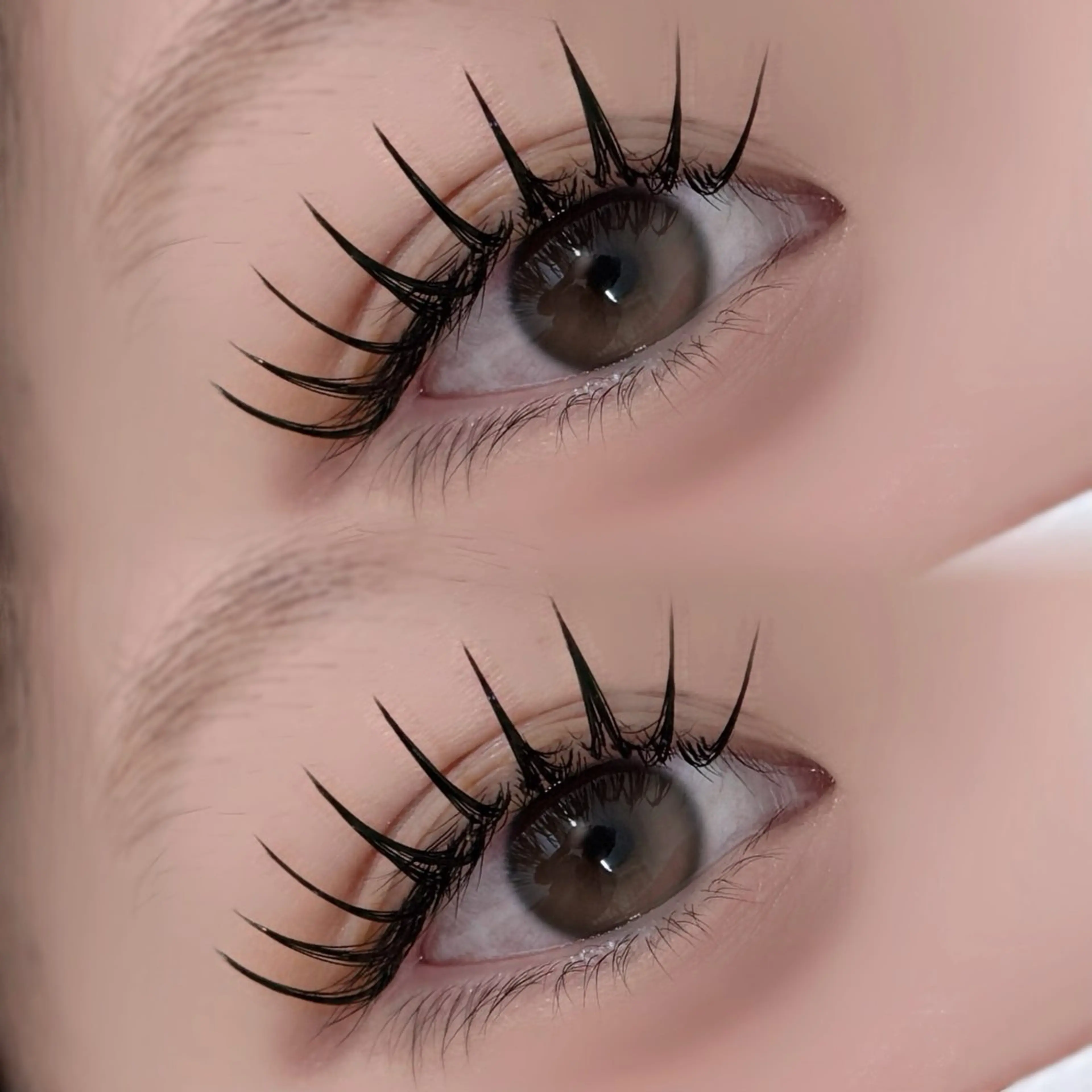 マツエク・マツパ マツエク tomteトムテ junmiのマツエク・マツパデザイン