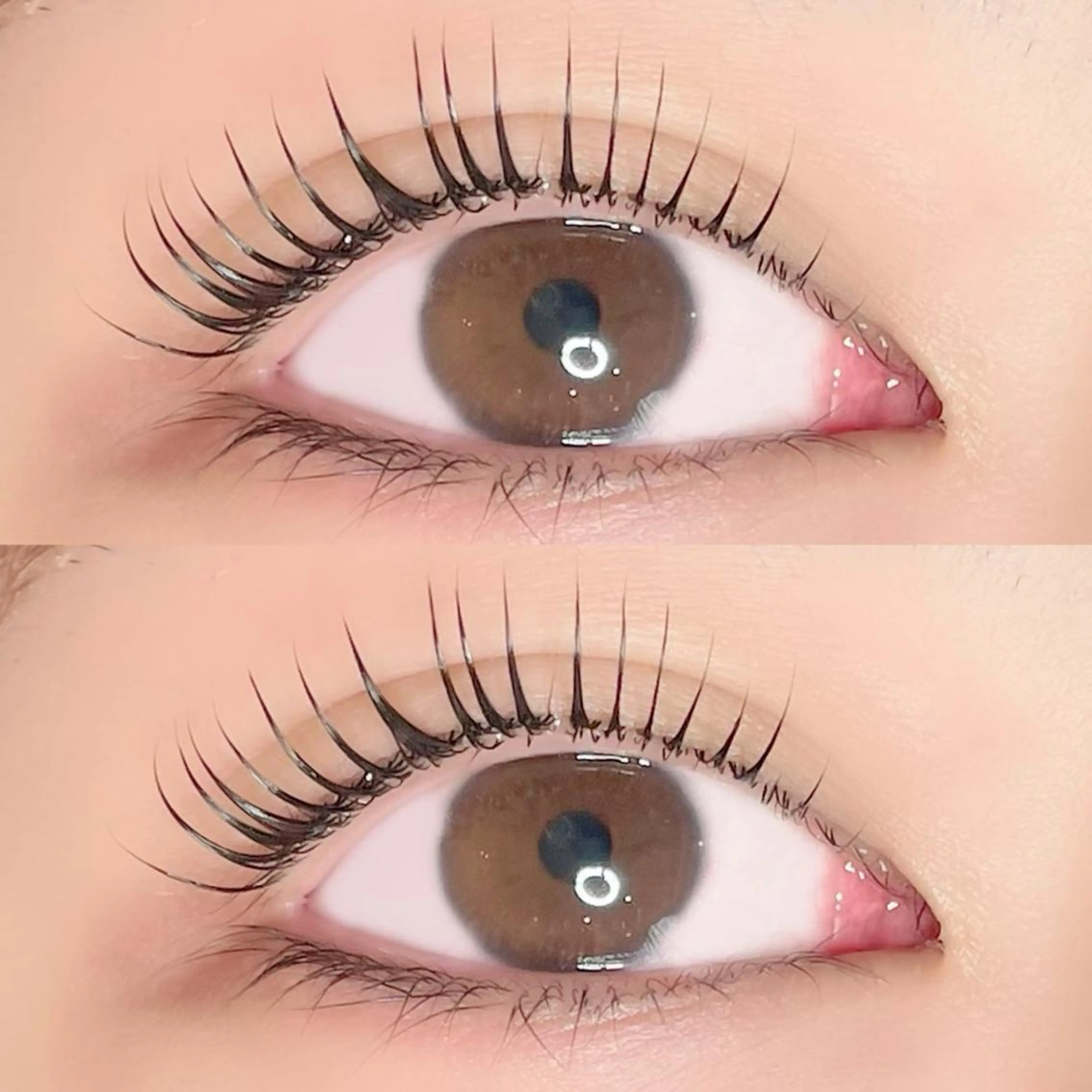 マツエク・マツパ マツパ AYLASH🧡 猪又のマツエク・マツパデザイン