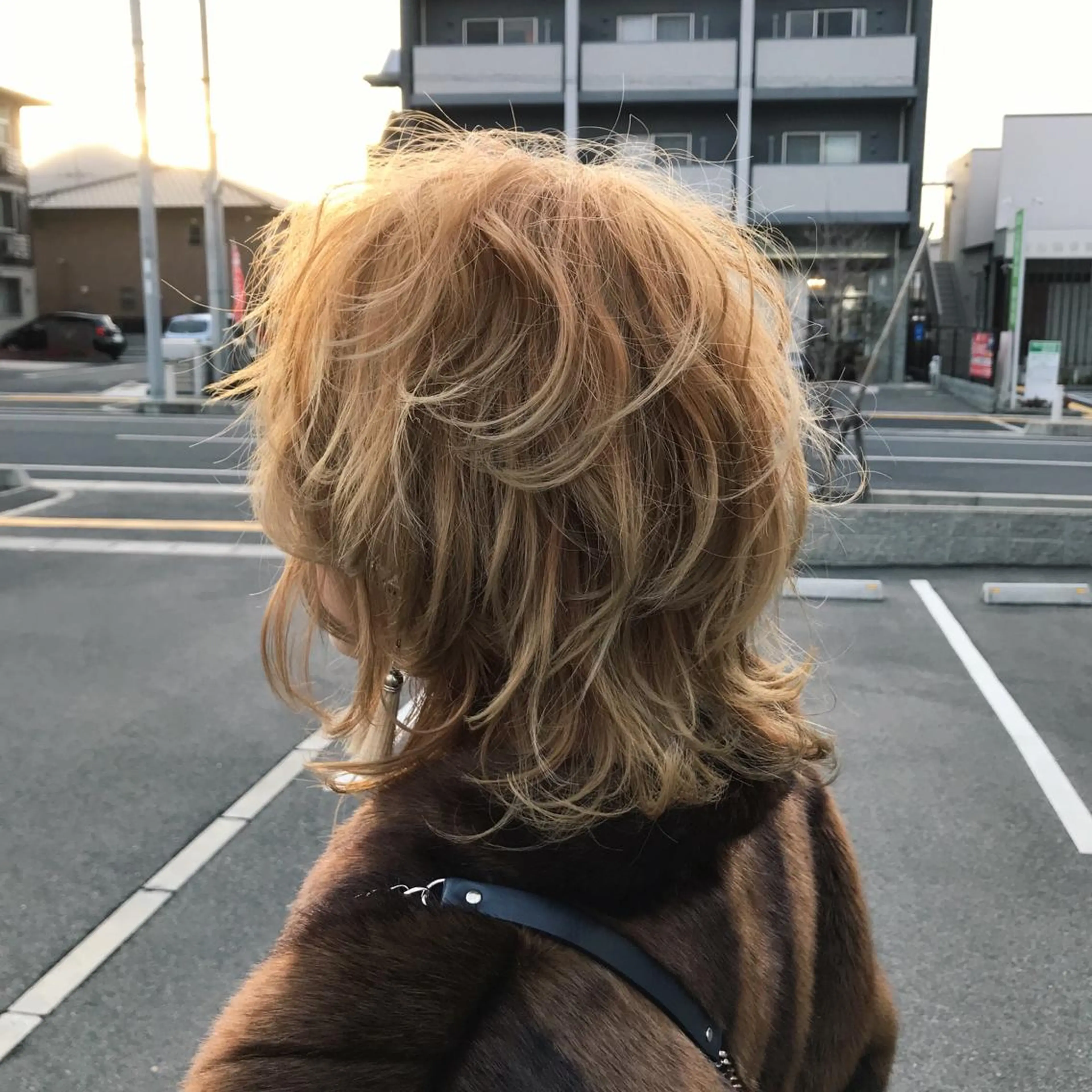 ショート ショートレイヤー レイヤーカット ショートヘア 今井 啓太/縮毛矯正のヘアスタイル