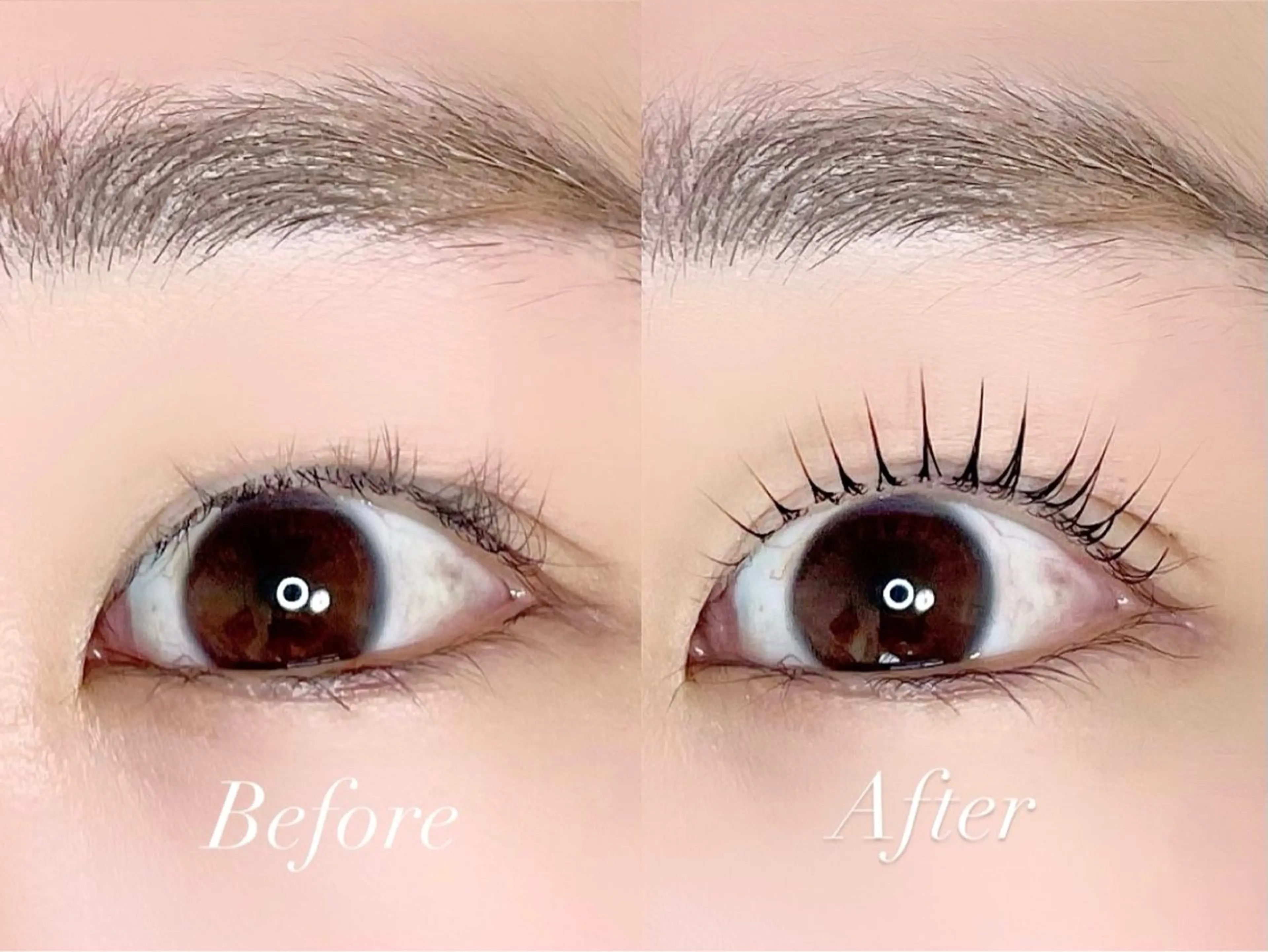 マツエク・マツパ パリジェンヌラッシュリフト Po eyelash ･:* 下北沢のマツエク・マツパデザイン