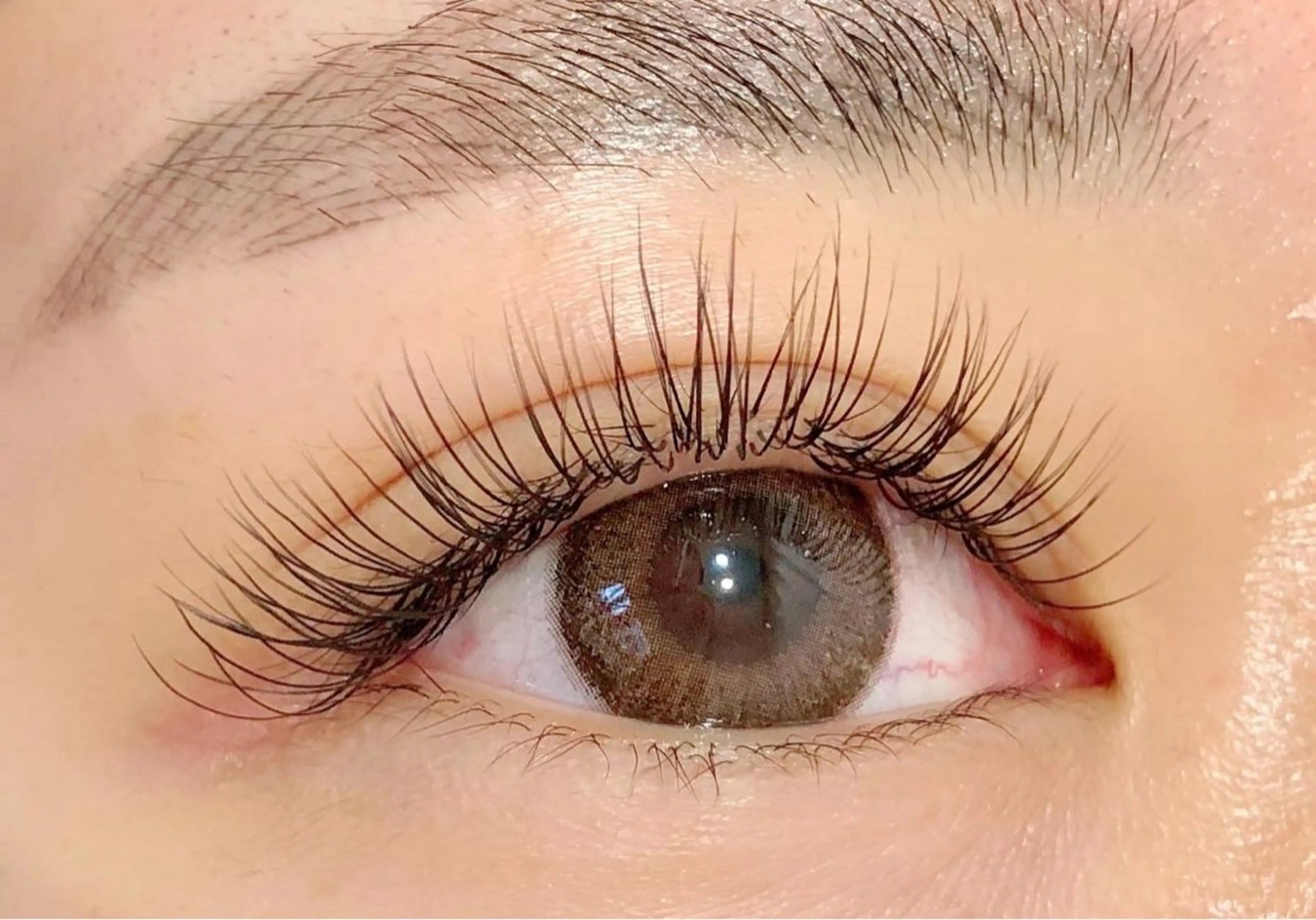 ✨️‎フラットラッシュ120本(オフなし)‎✨️の写真