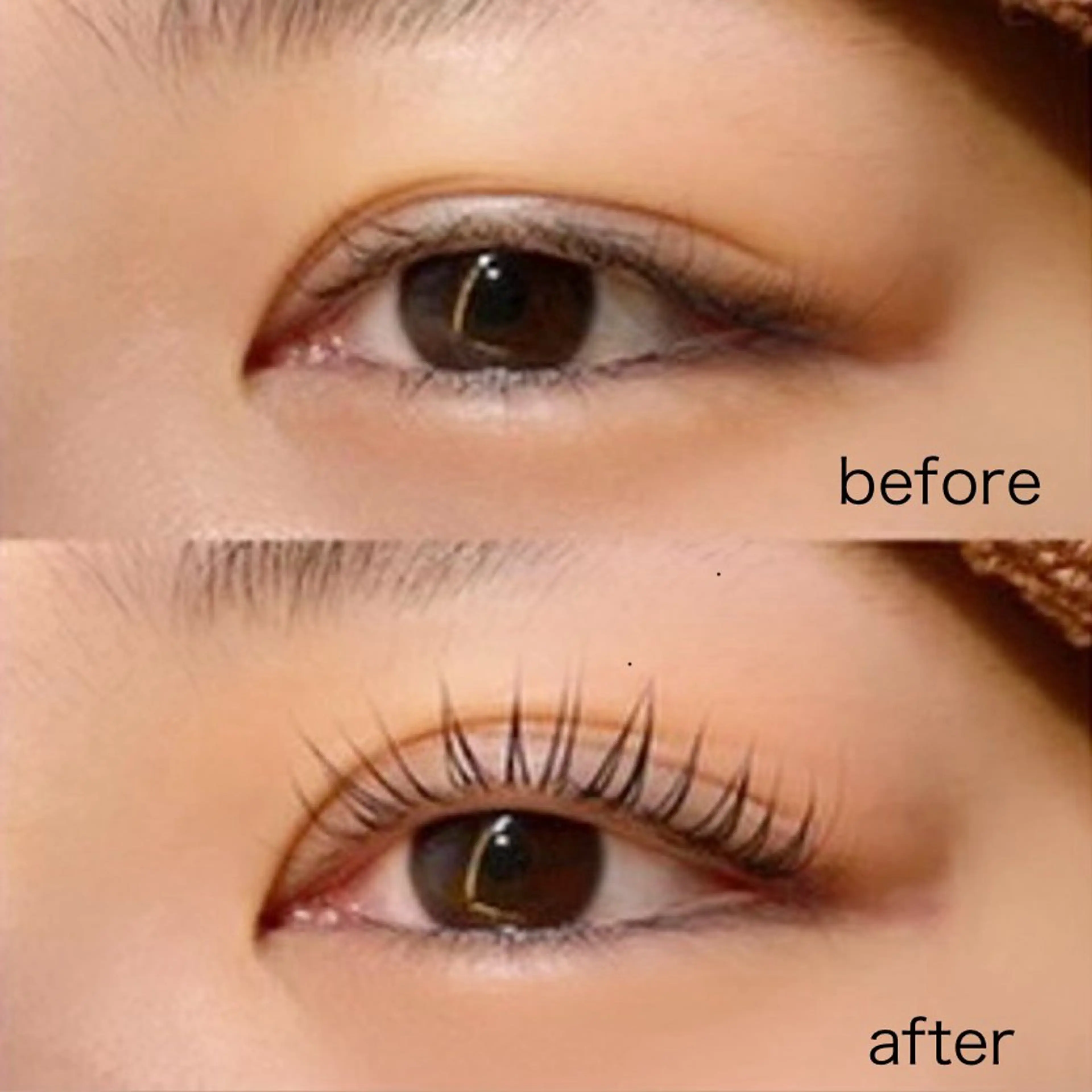 マツエク・マツパ パリジェンヌラッシュリフト scarlet asahiのマツエク・マツパデザイン