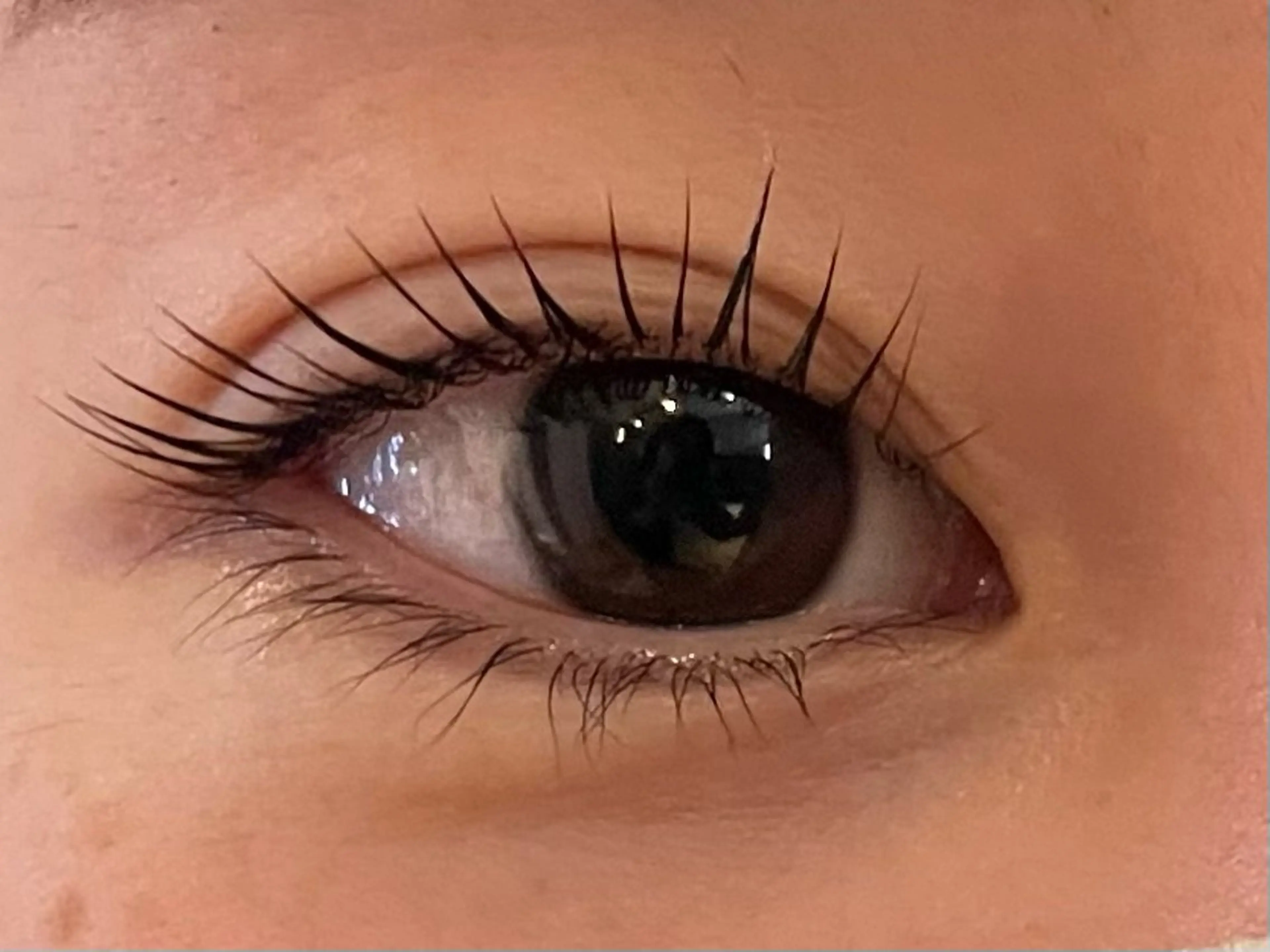 マツエク・マツパ Sol フジイのマツエク・マツパデザイン