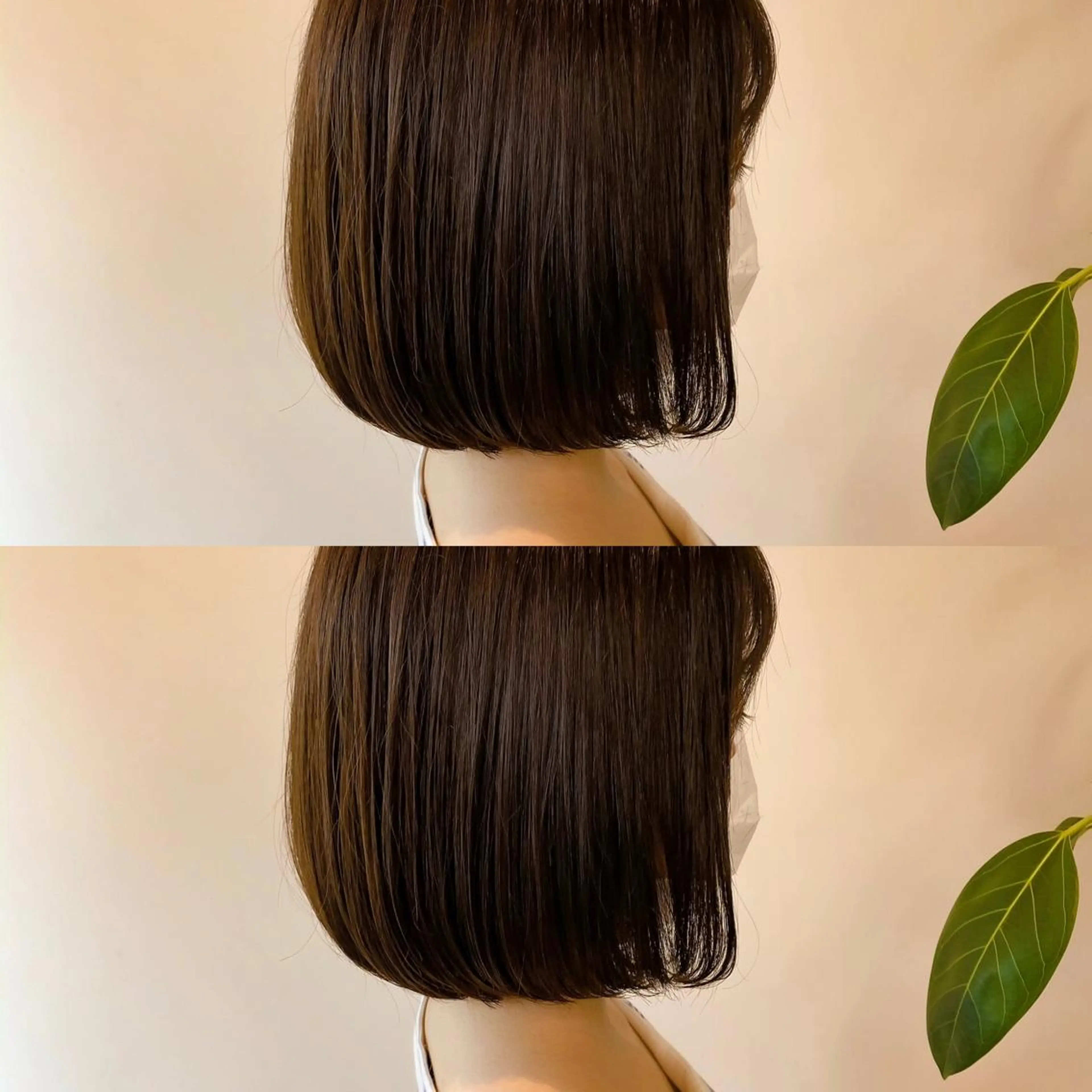 ショート カラー ボブ韓国風レイヤー 髪質改善/畠中ケントのヘアスタイル