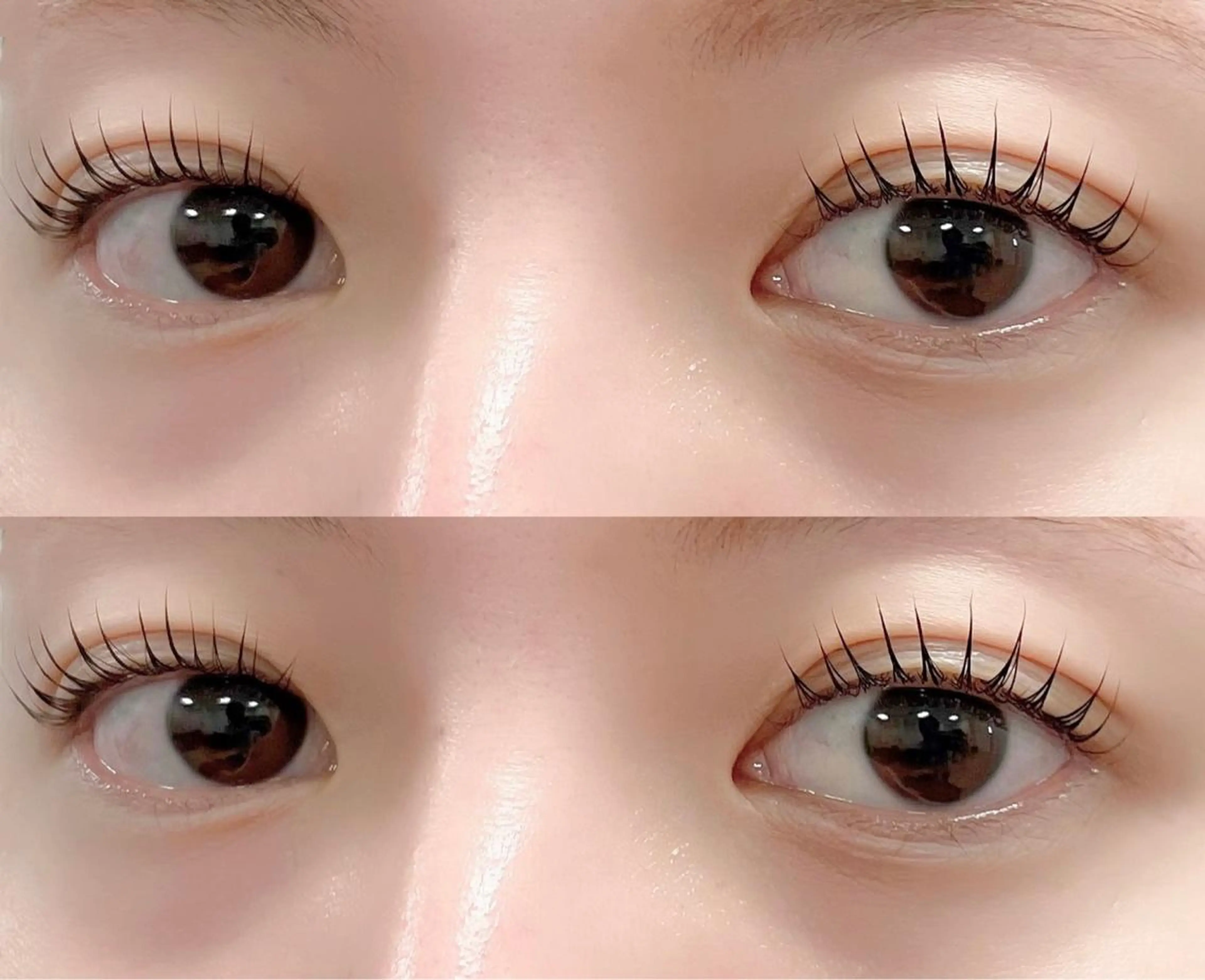 マツエク・マツパ 束感まつ毛 ワンホンマツエク マツパ FASTLASH🌹 パリジェンヌのマツエク・マツパデザイン