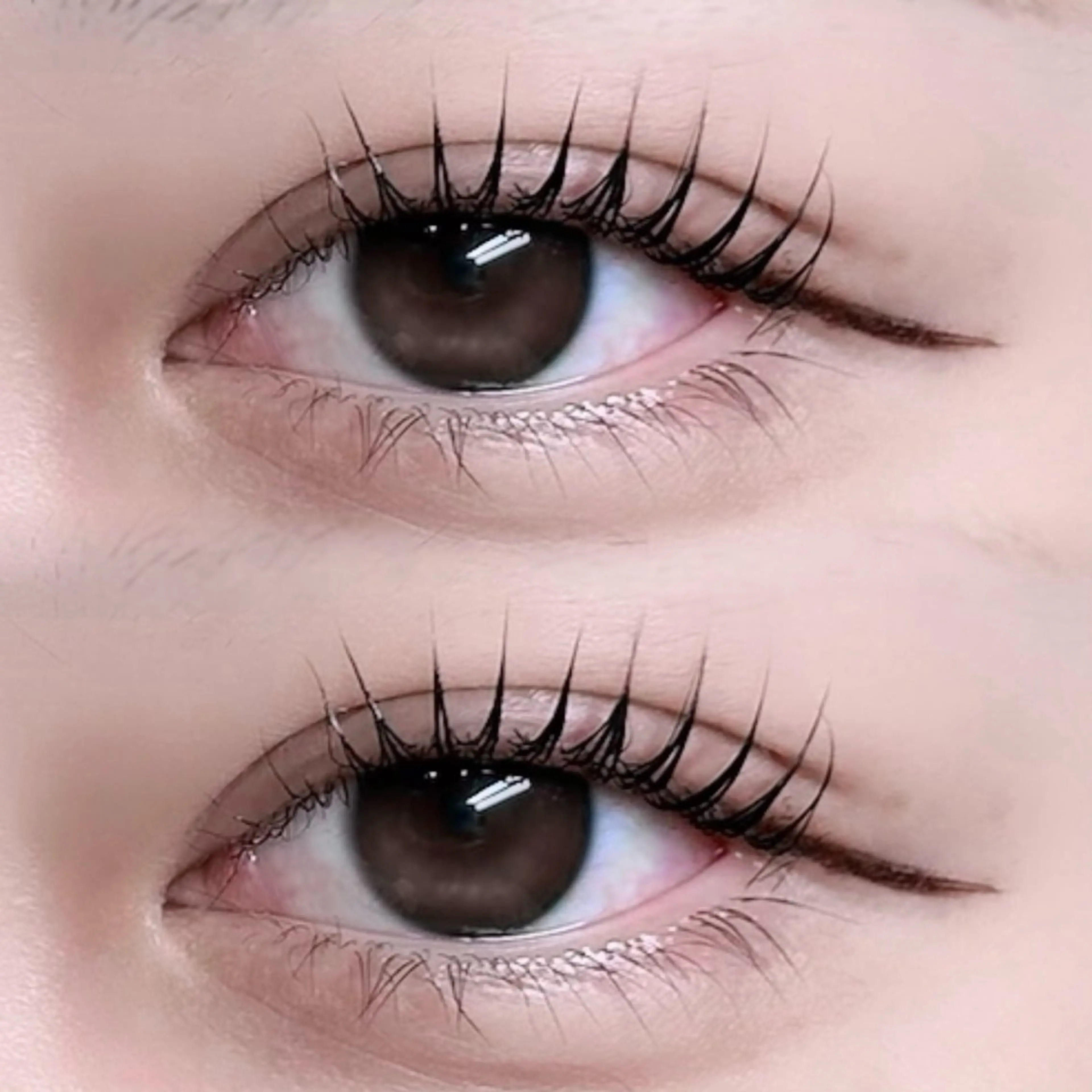 🩵パリジェンヌ🩵➕高級コーティング付き⭐️の写真