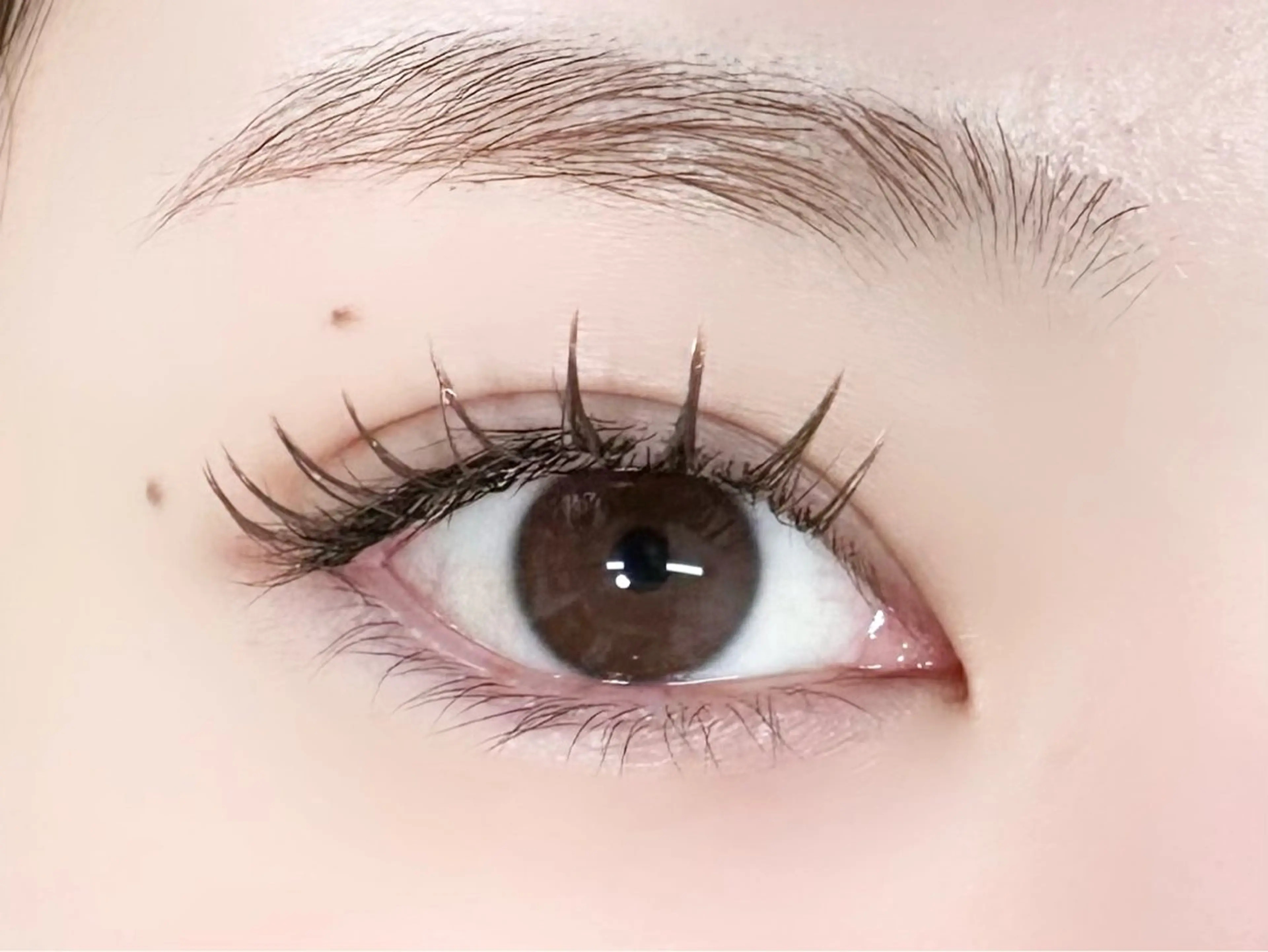 マツエク・マツパ マツエク Libre 【リブレ】のマツエク・マツパデザイン