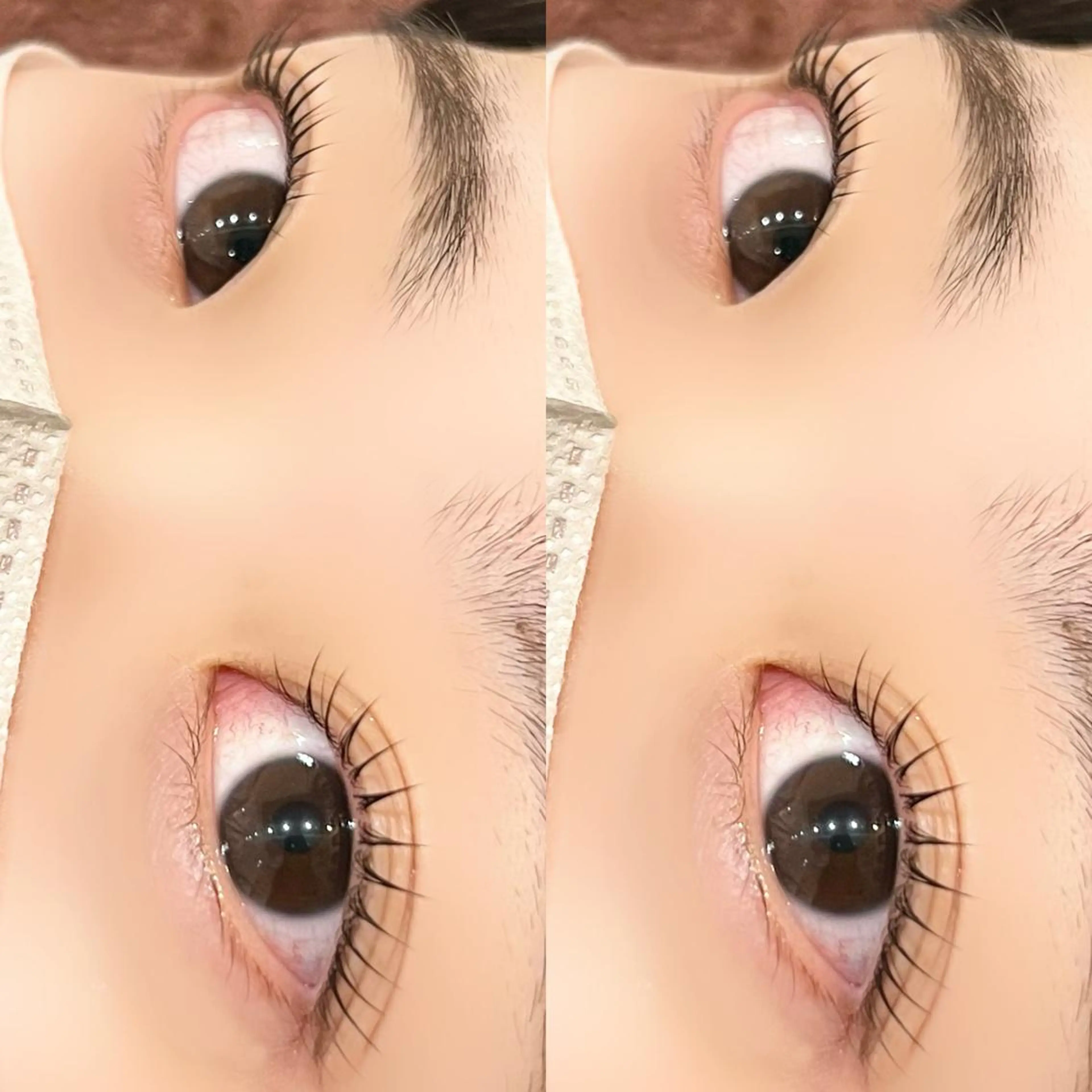 マツエク・マツパ パリジェンヌラッシュリフト マツパ 【myonsil】 Suzuki*のマツエク・マツパデザイン