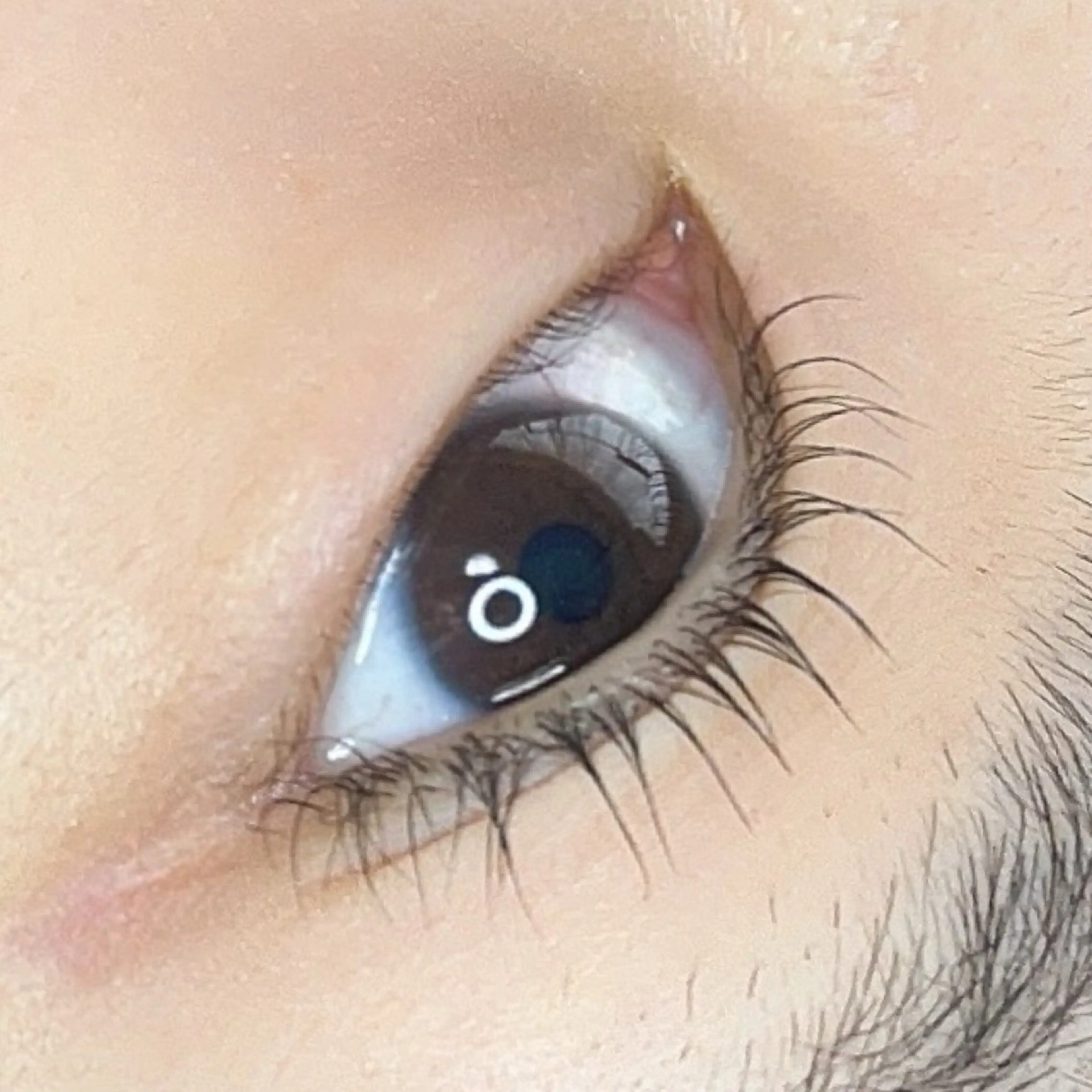 マツエク・マツパ Serapia 【セラピア】のマツエク・マツパデザイン