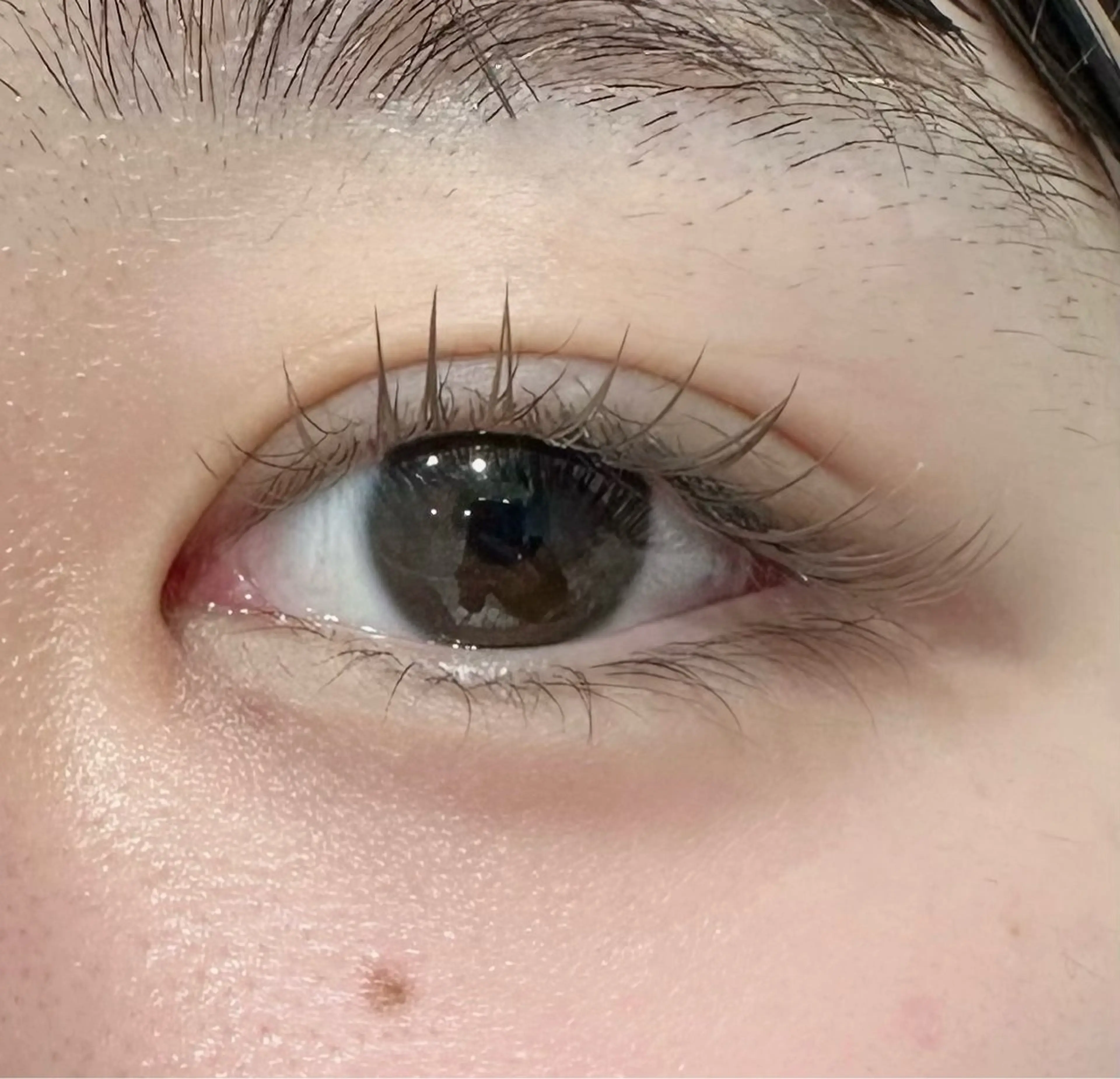 マツエク・マツパ カラーマツエク HARIS miyazakiの眉毛・アイブロウイメージ