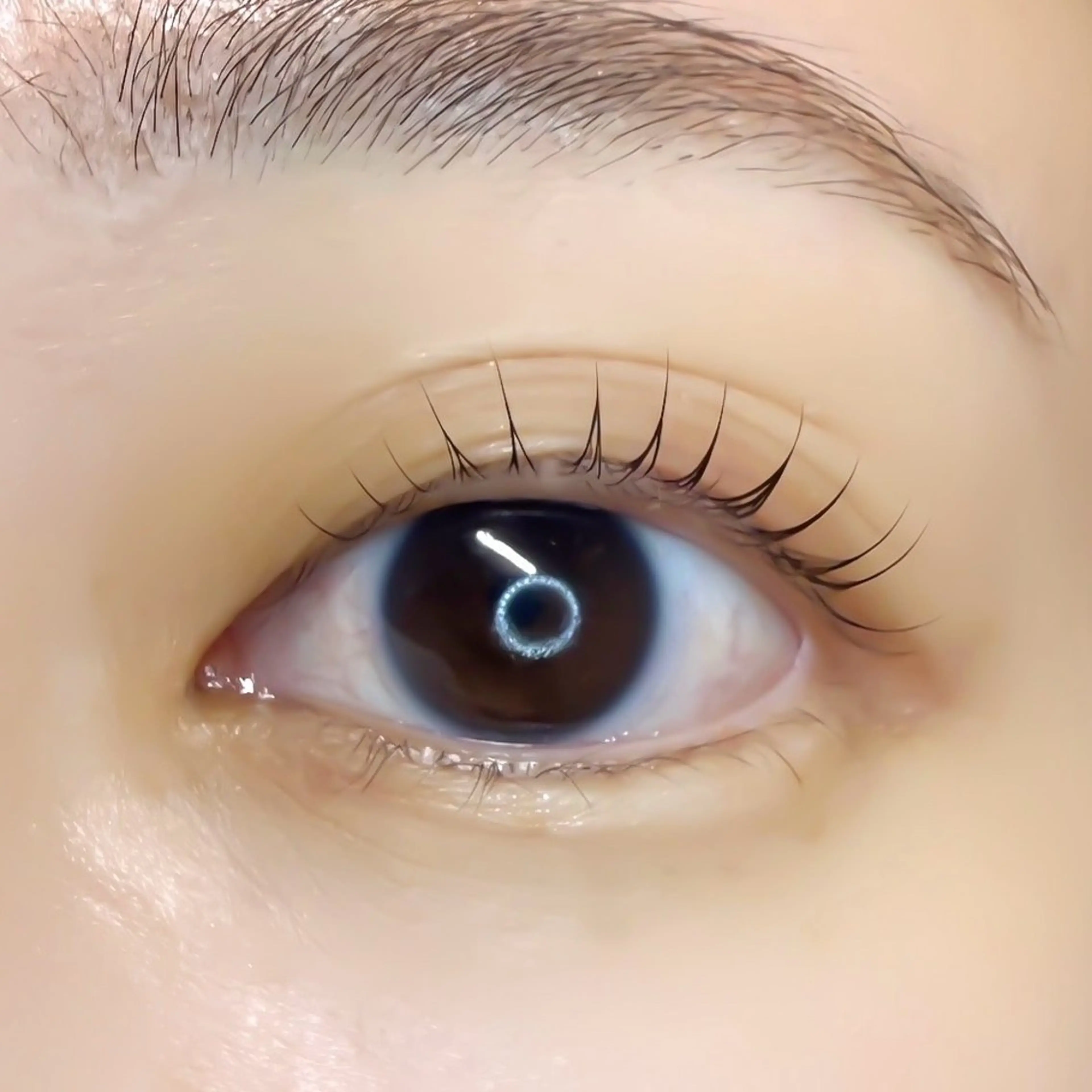 🦋アイブロウwax +マツパorパリジェンヌ🦋の写真
