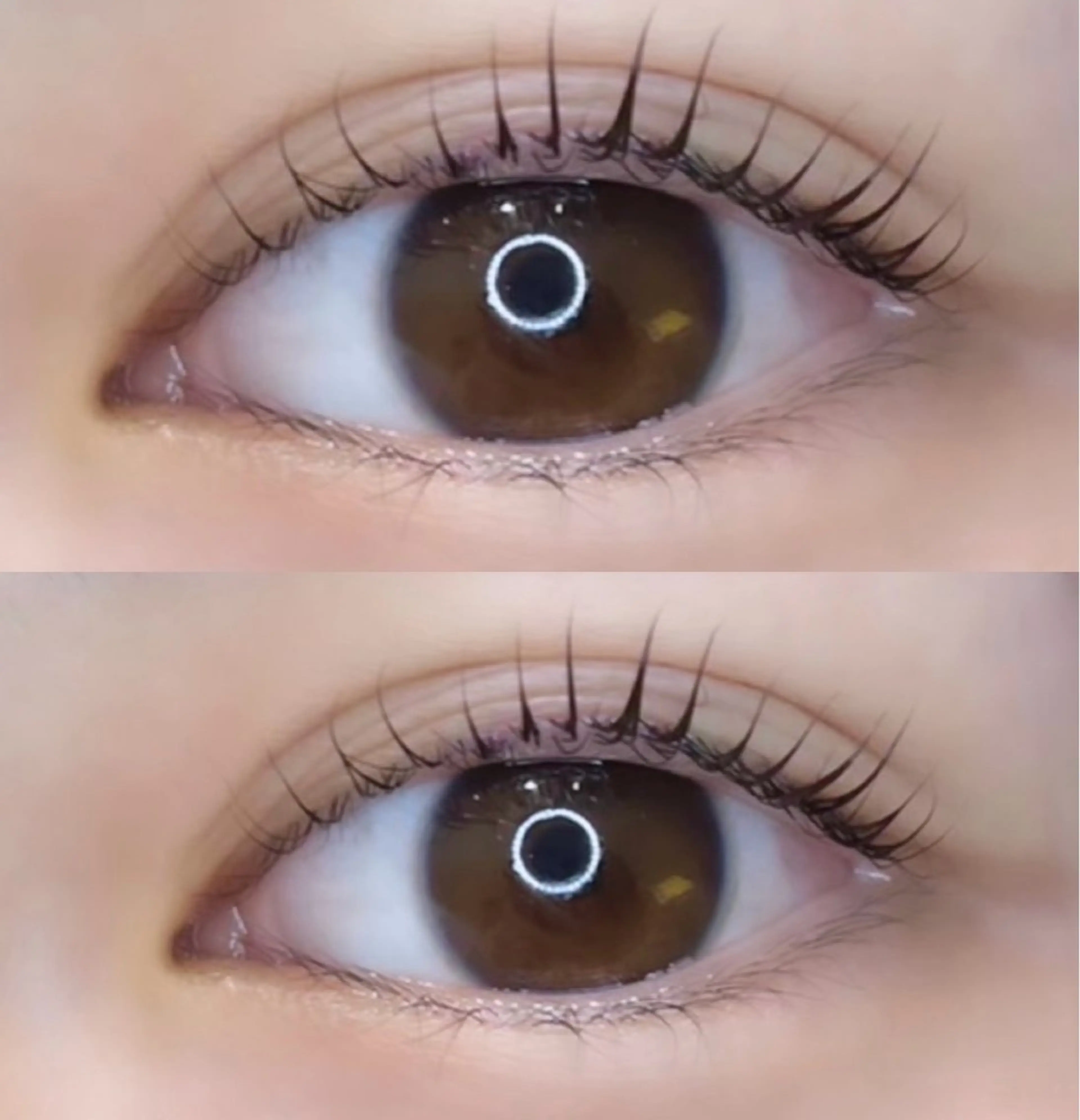 マツエク・マツパ eve🐰束間まつ毛 /透明感カラーのヘアスタイル