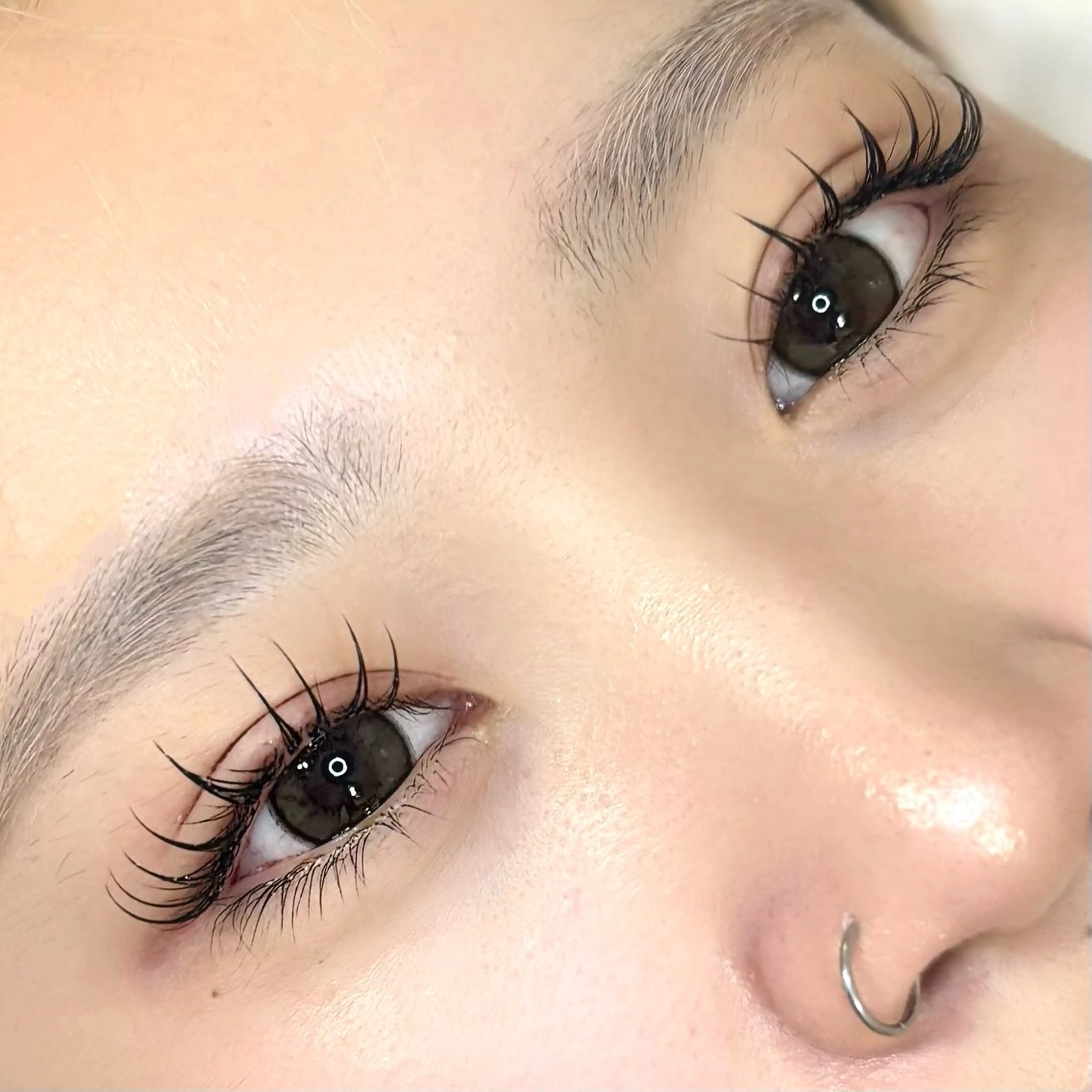 LEDフラットラッシュ120本🕊️の写真