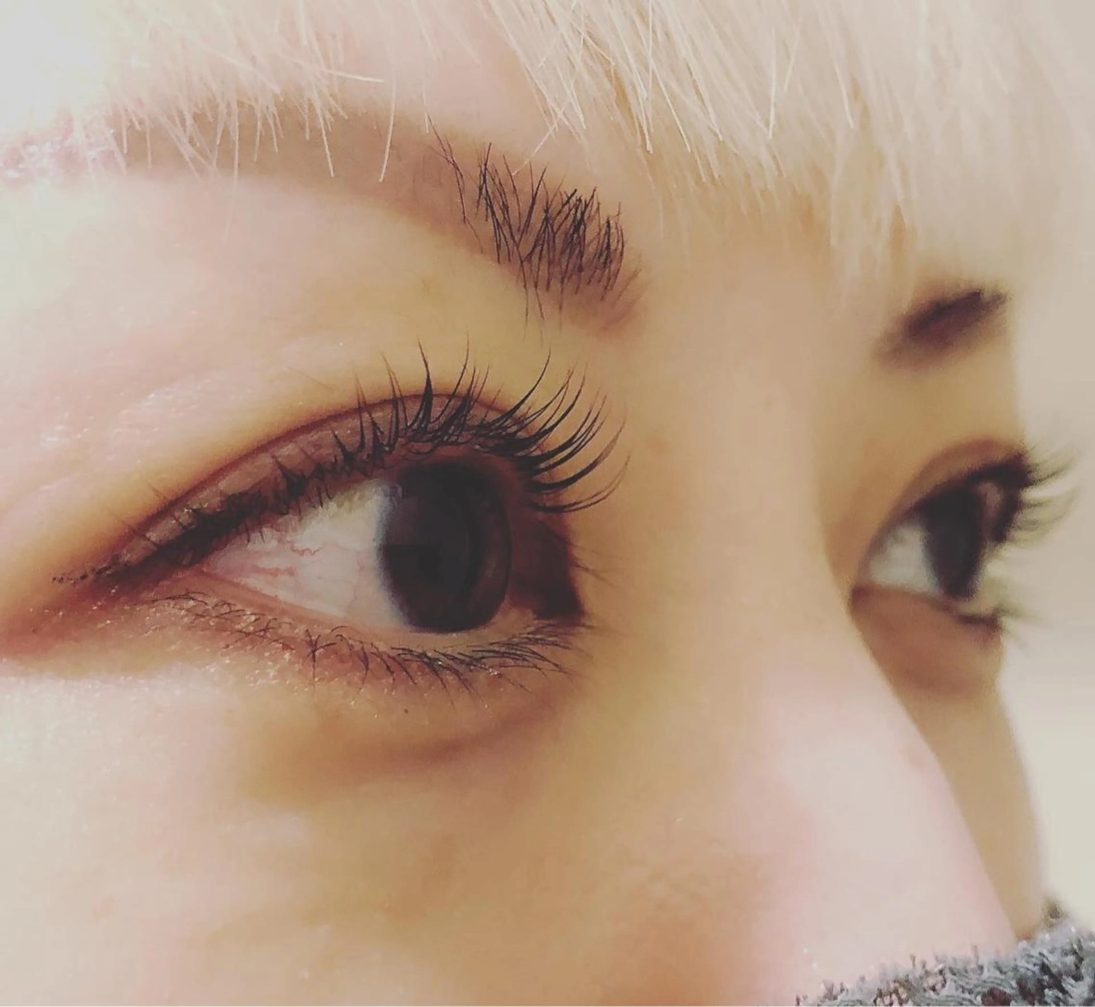 マツエク・マツパ emi ...の眉毛・アイブロウイメージ