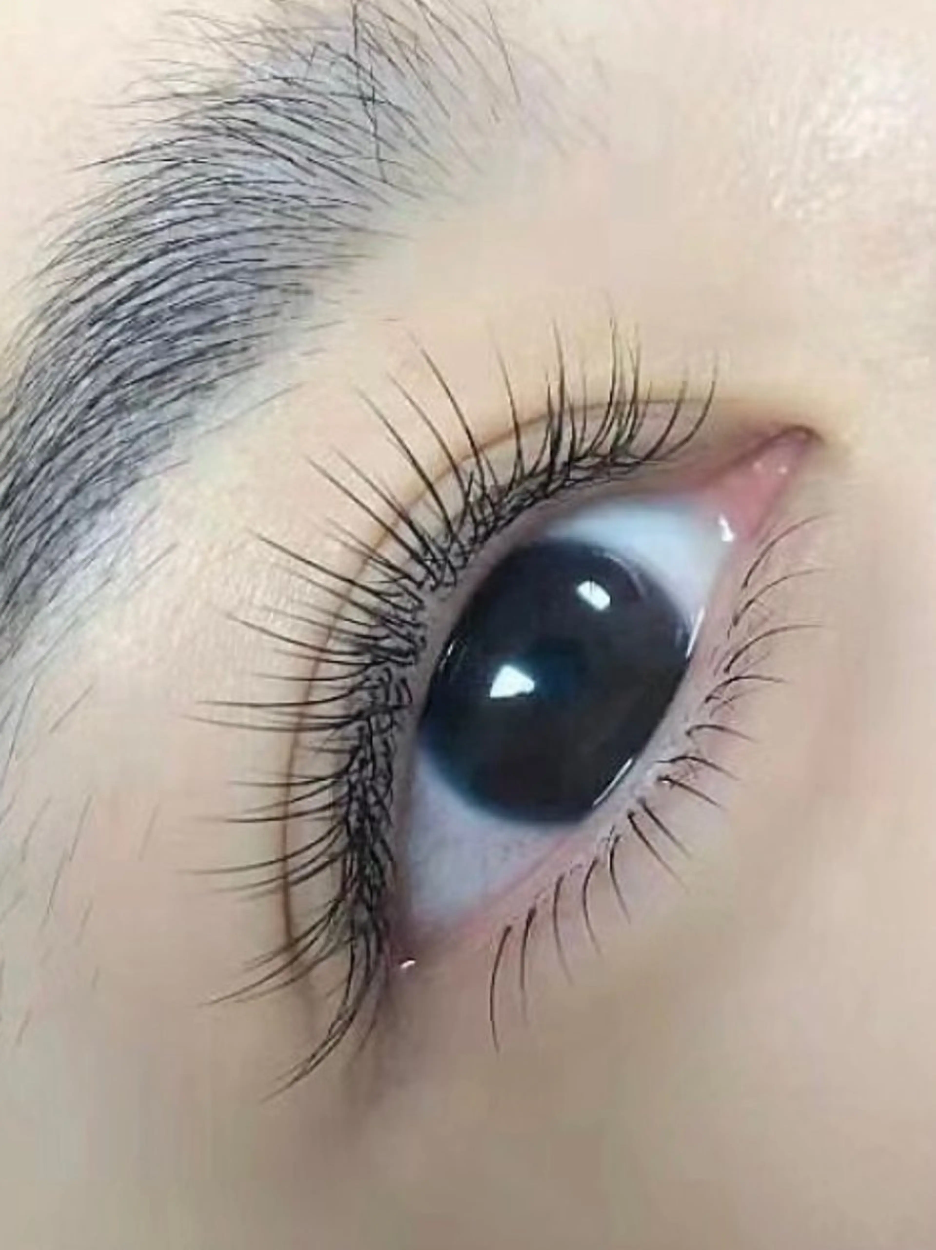 マツエク・マツパ 束感まつ毛 カラーマツエク フラットラッシュ パリジェンヌラッシュリフト まつげパーマ Yunabi池袋東口店所属・ユナビ ゆき🌸🌸のマツエク・マツパデザイン