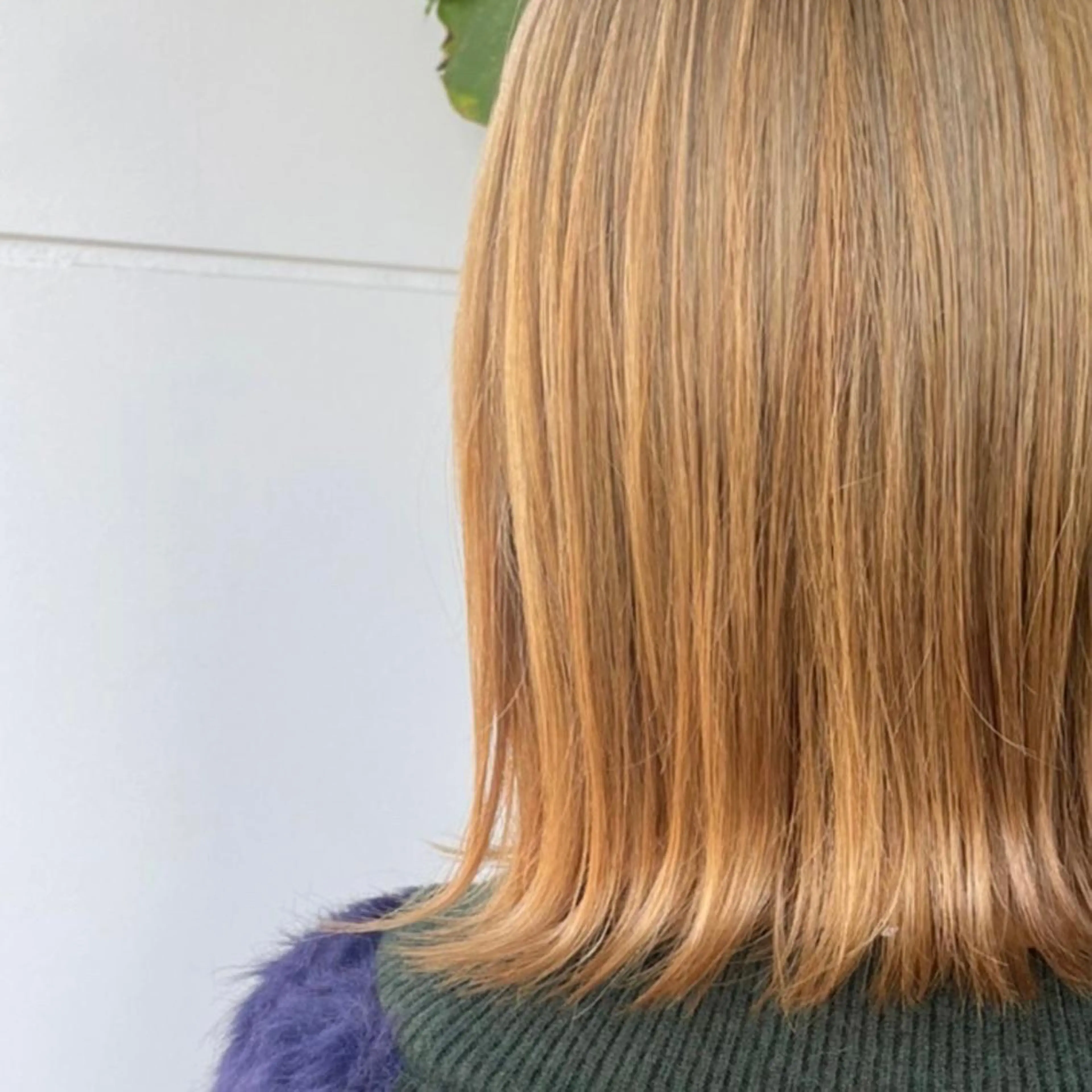 ミディアム カラー Noël / someya🌛のマツエク・マツパデザイン