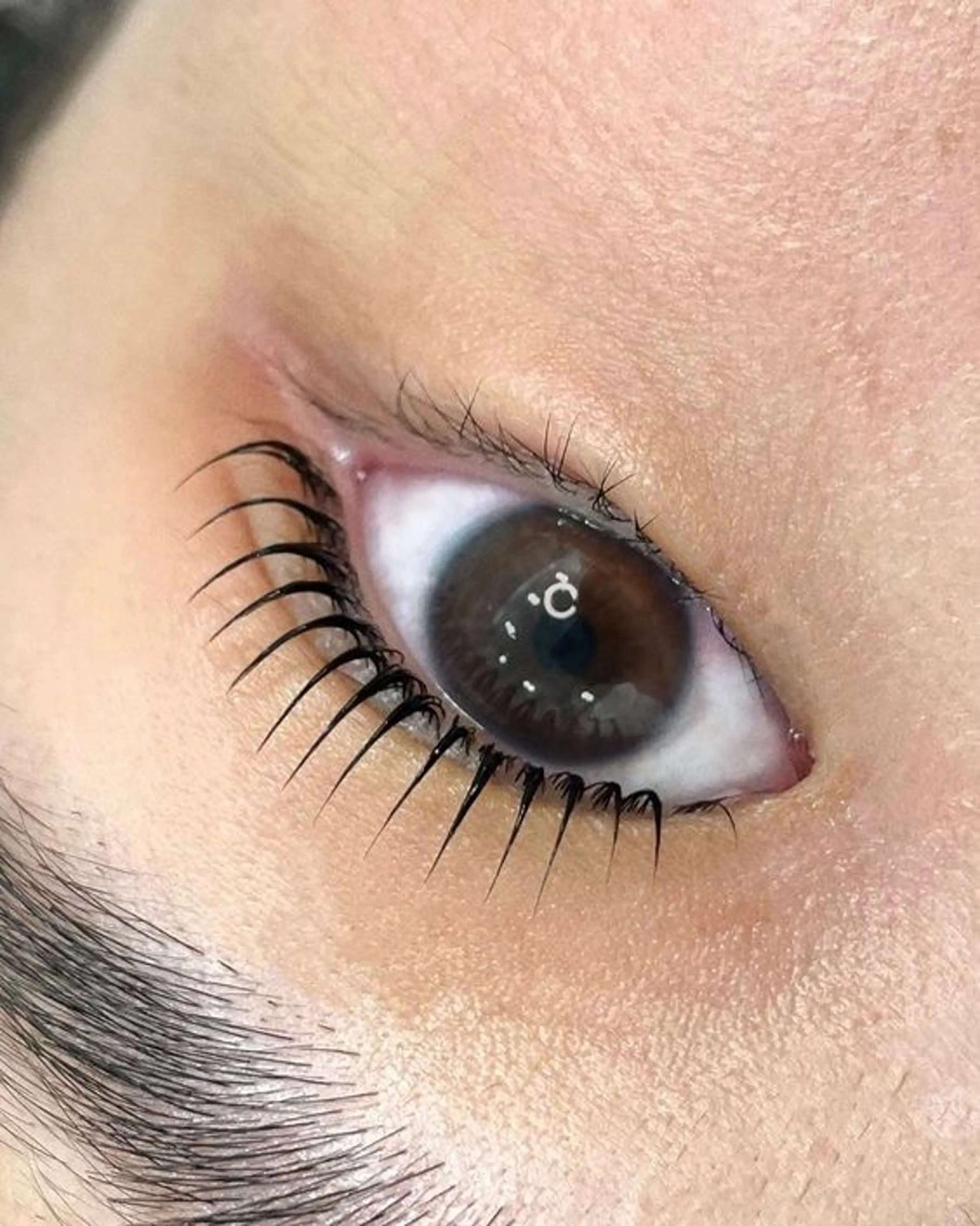 マツエク・マツパ Lau【ラウ】所属・Lau【ラウ】 ⁂NaNaのマツエク・マツパデザイン