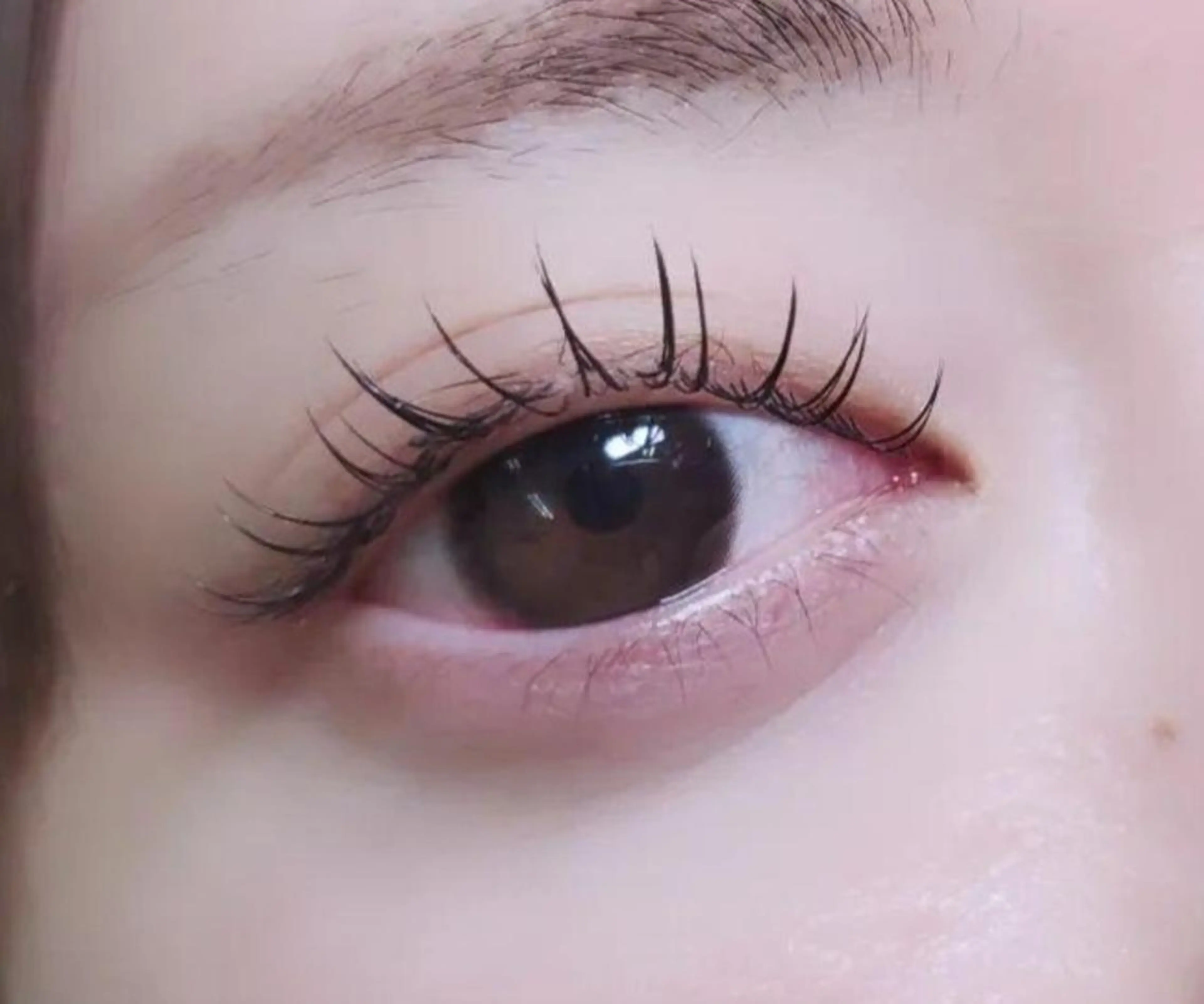 マツエク・マツパ 束感まつ毛 フラットラッシュ 韓国風マツエク eyelashsalon   rocolush 所属・★Hoshino★ 新宿西口 ·͜·🌟のマツエク・マツパデザイン