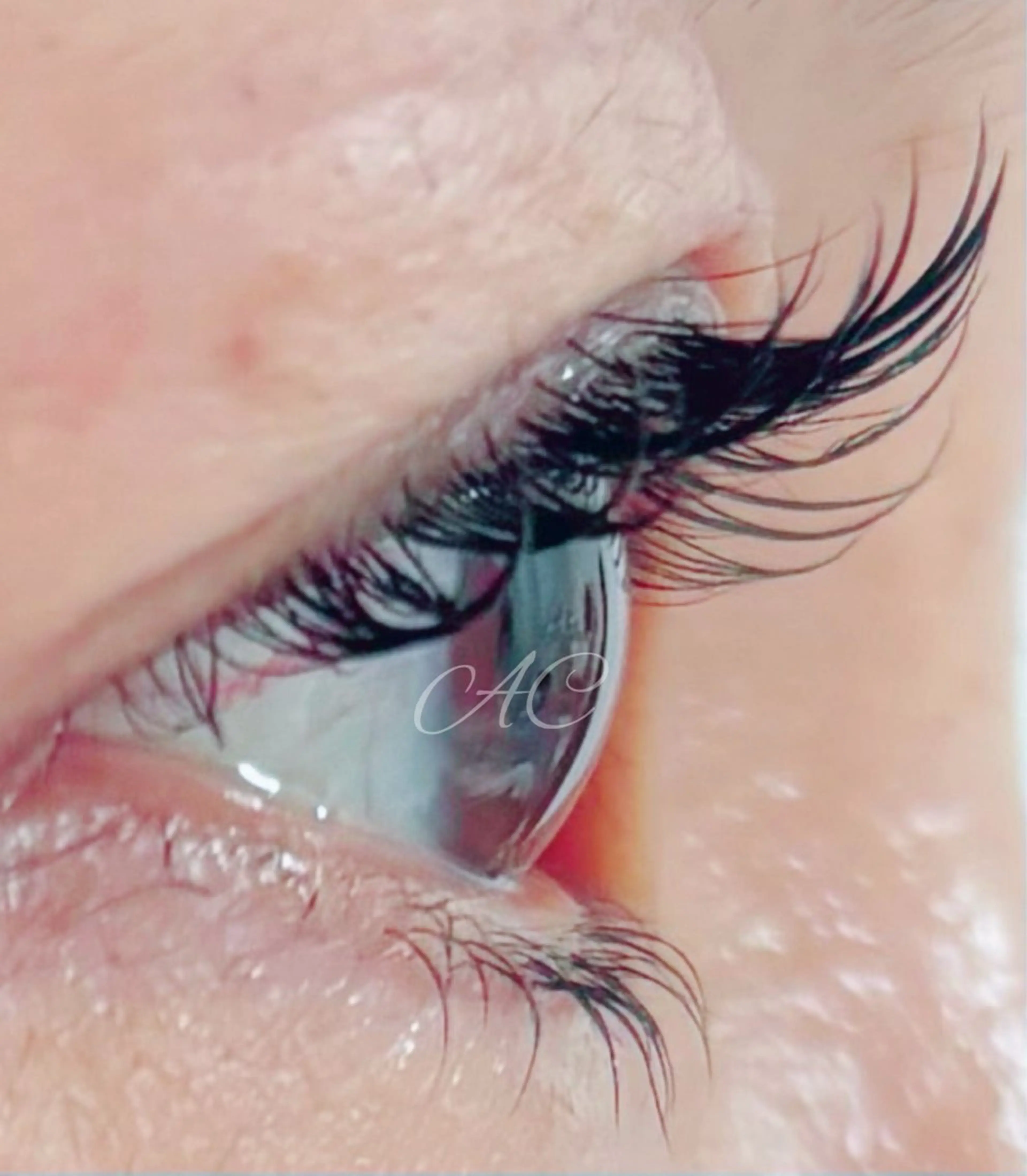 まつ毛パーマ（トリートメント付き）の写真