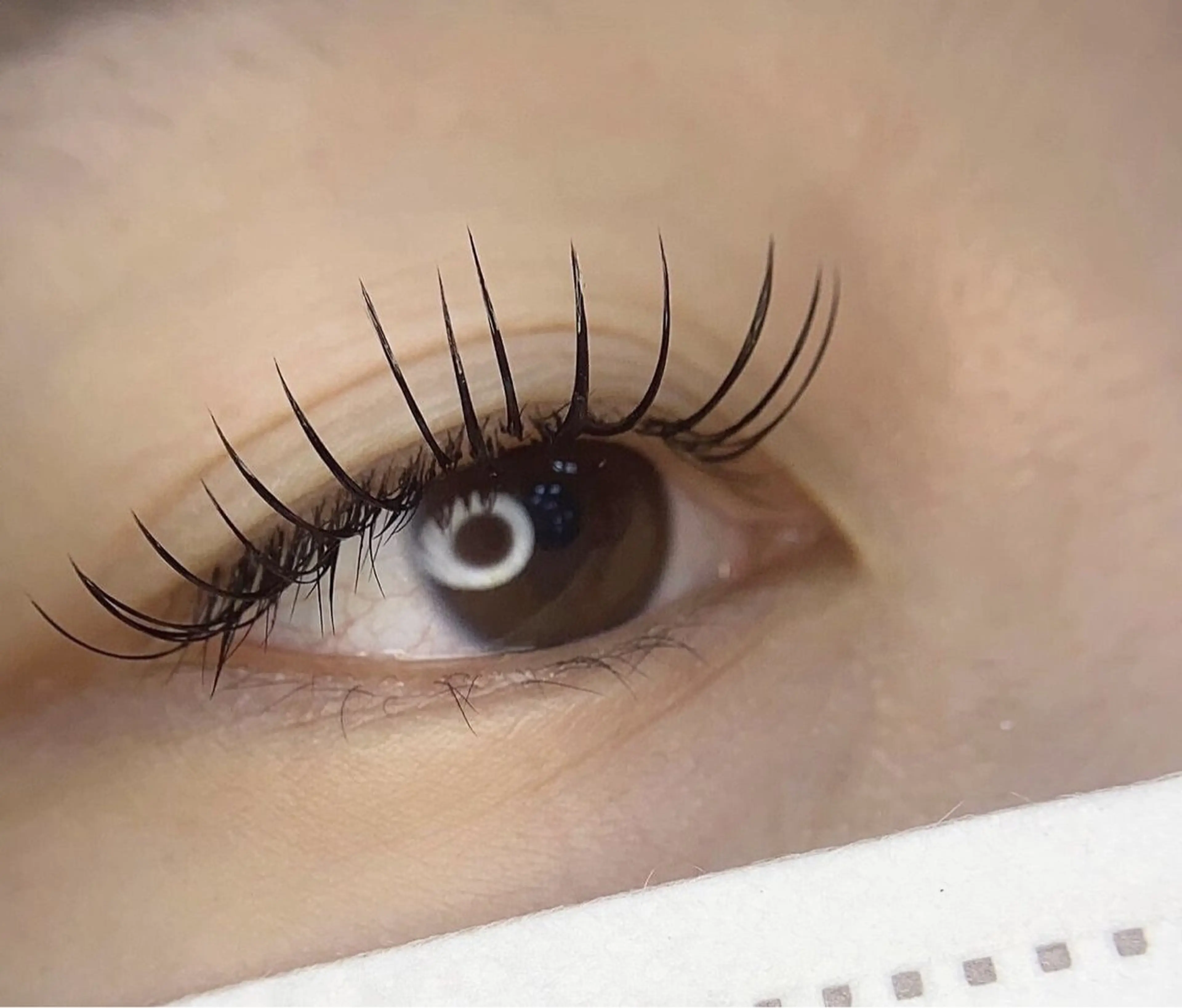 マツエク・マツパ マツエク パレス MAIのマツエク・マツパデザイン