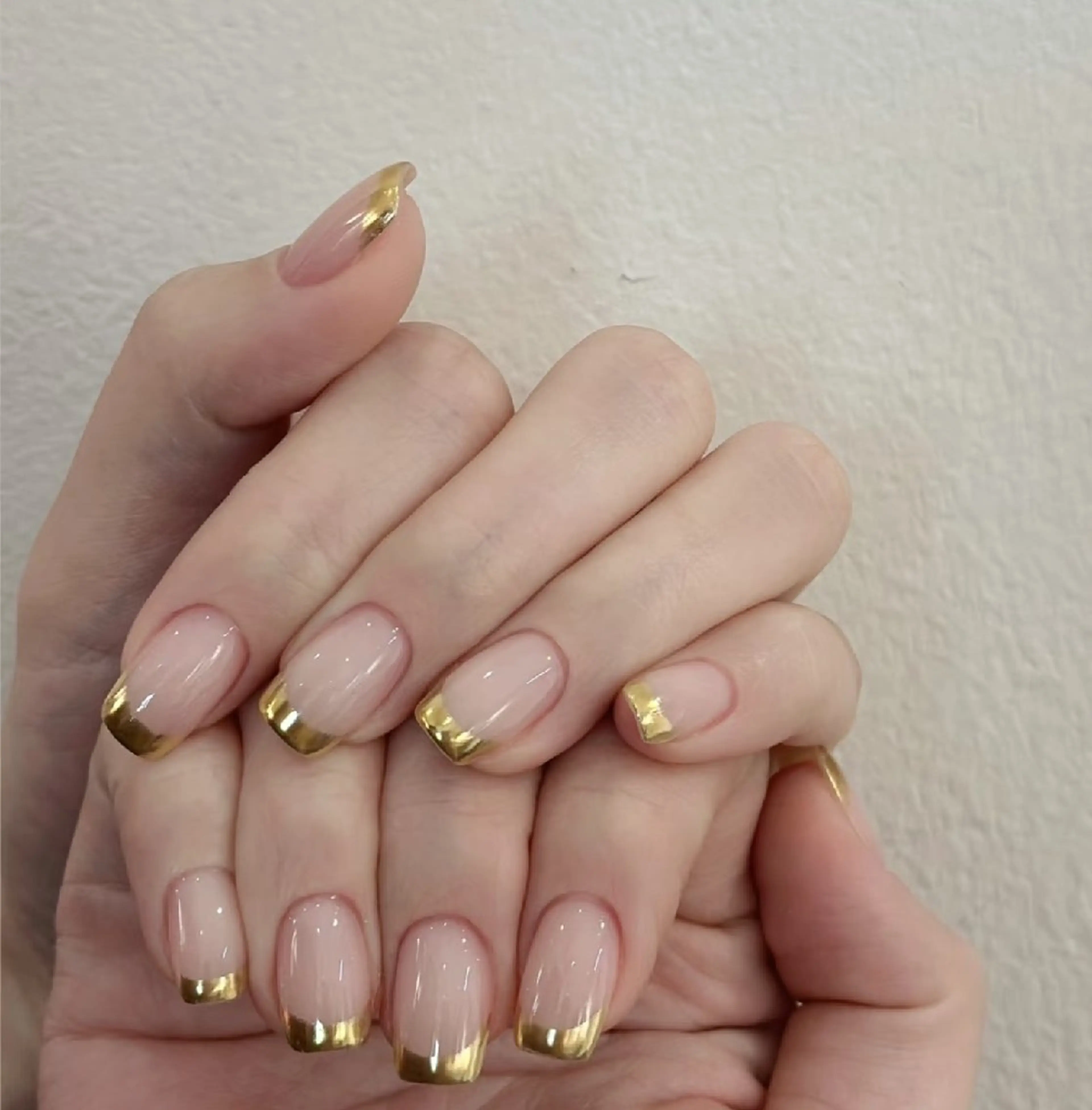 ミラーフリンチの写真