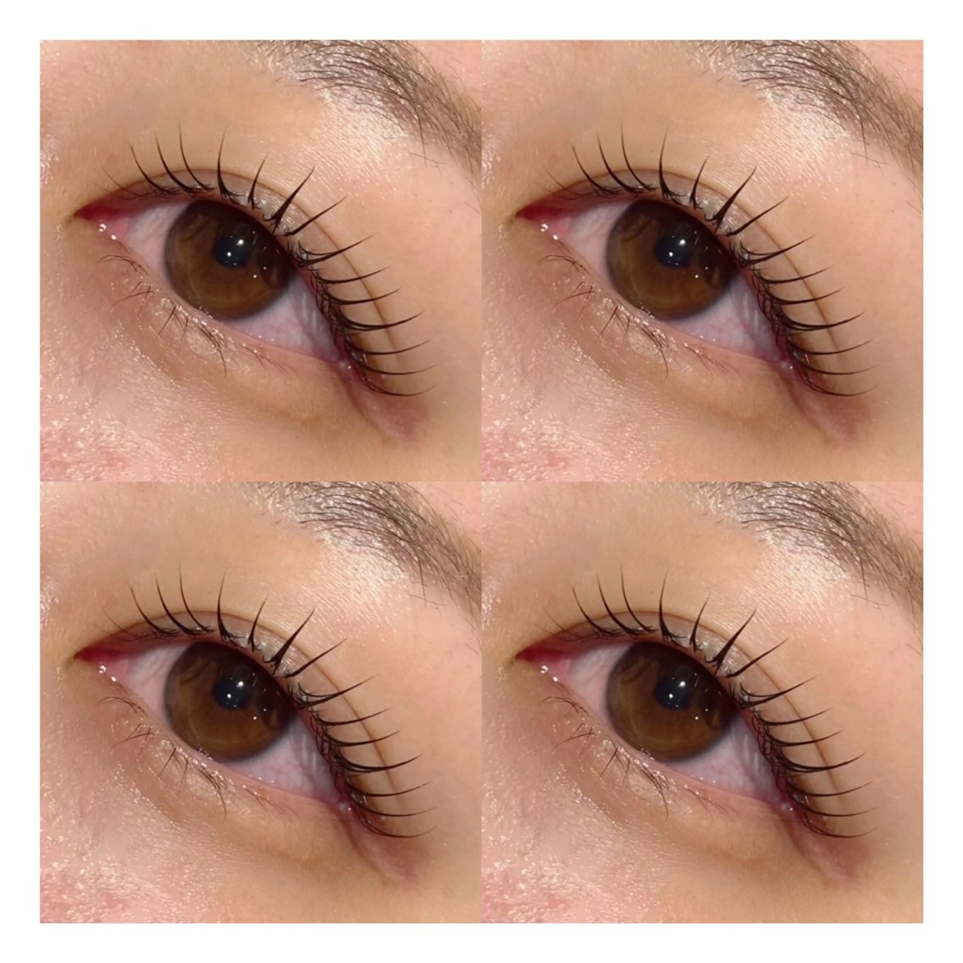 マツエク・マツパ ナチュラル EARTH 𖤐 シライシのマツエク・マツパデザイン