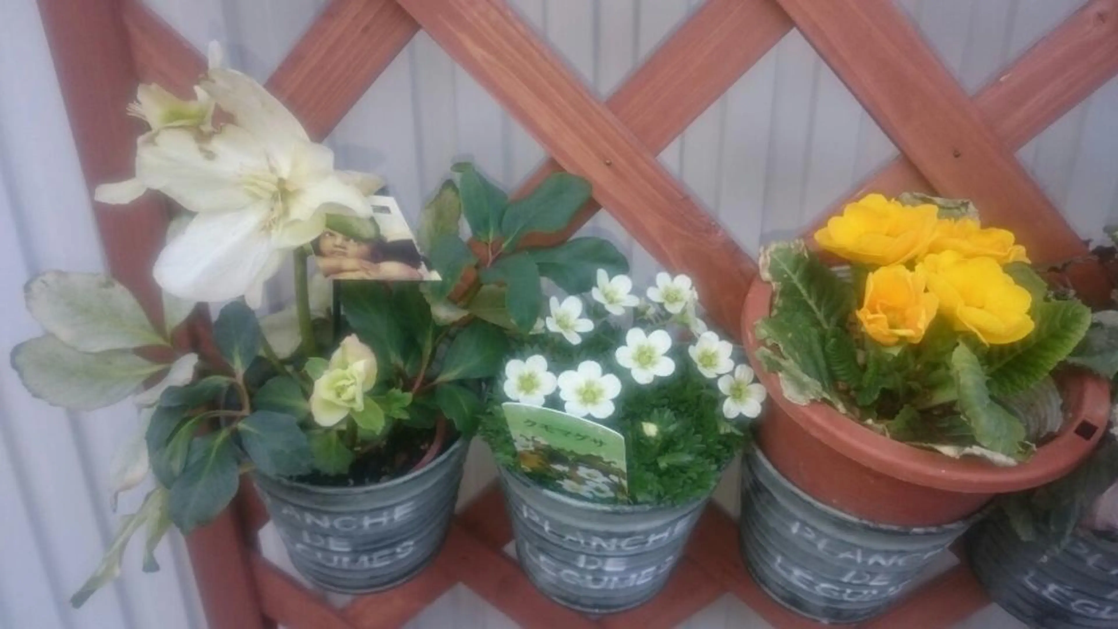 メナード水戸見川店　MENARD所属・黒坂 リカのその他イメージ