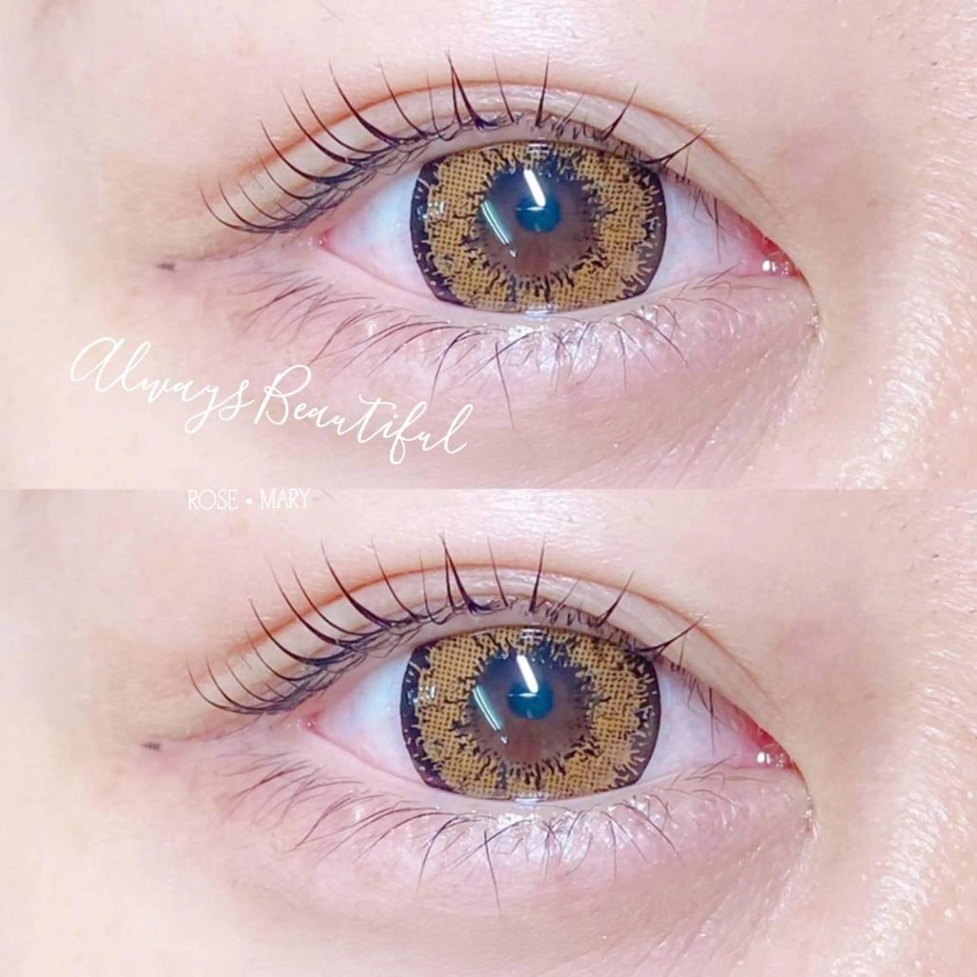 マツエク・マツパ マツパ ROSE MARY 大竹のマツエク・マツパデザイン