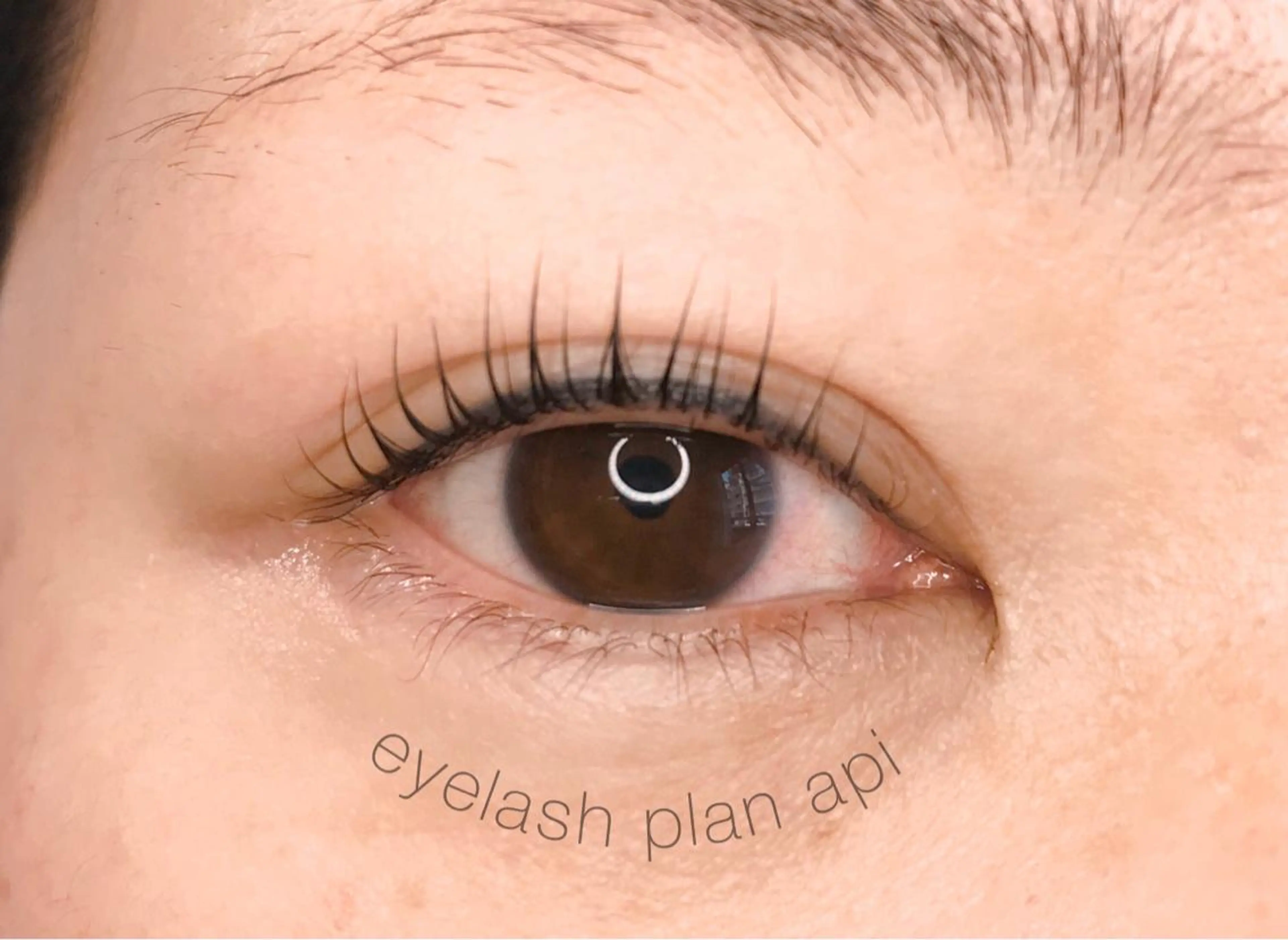 マツエク・マツパ マツパ 《eyelash ｉｉｔｅ》森のマツエク・マツパデザイン
