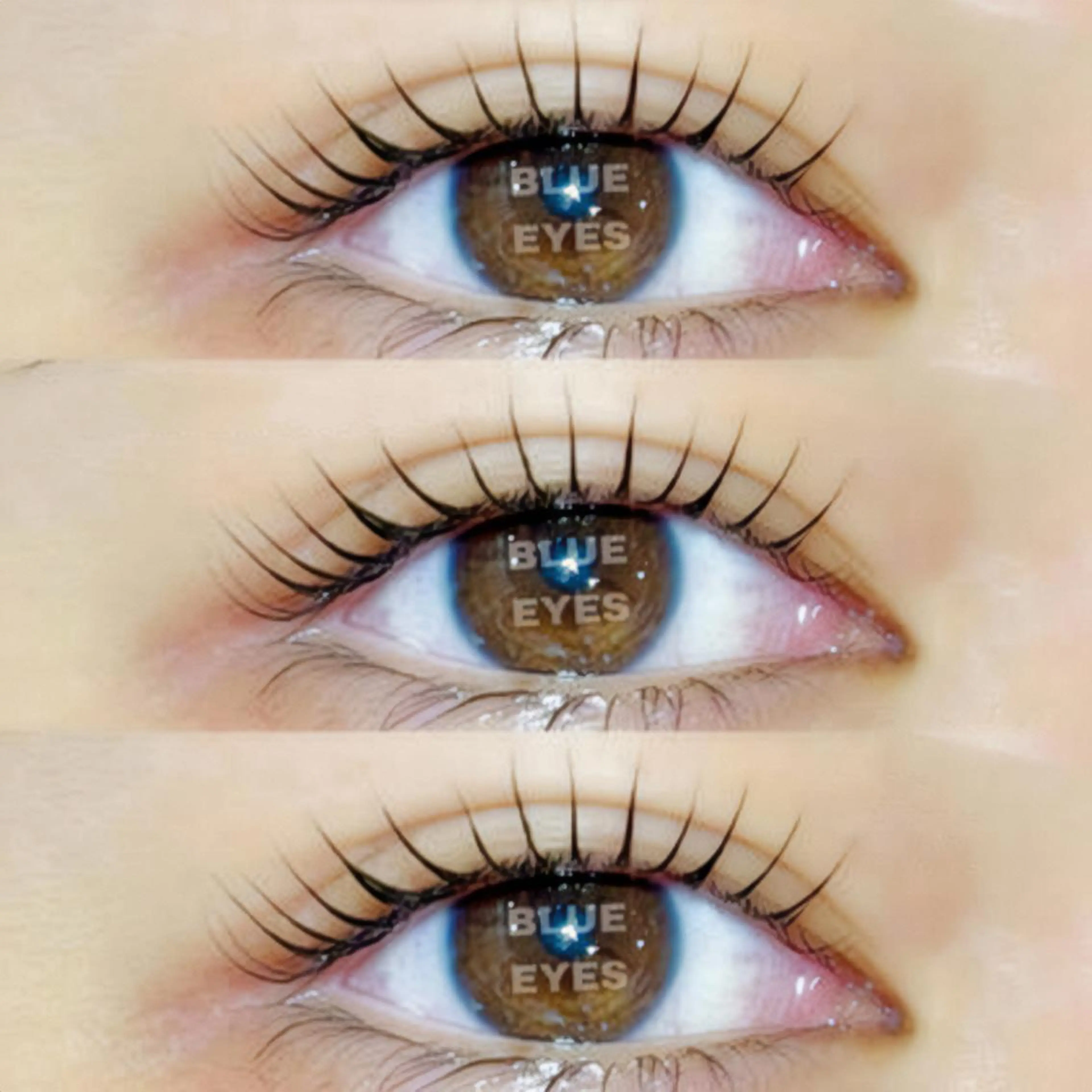 マツエク・マツパ パリジェンヌラッシュリフト マツパ 🦋表参道/原宿 🦋Chibaの眉毛・アイブロウイメージ